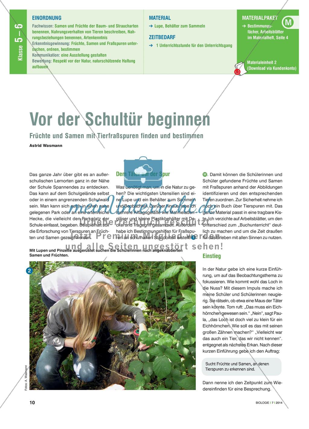 Vor der Schultür beginnen - Früchte und Samen mit Tierfraßspuren finden und bestimmen Preview 1