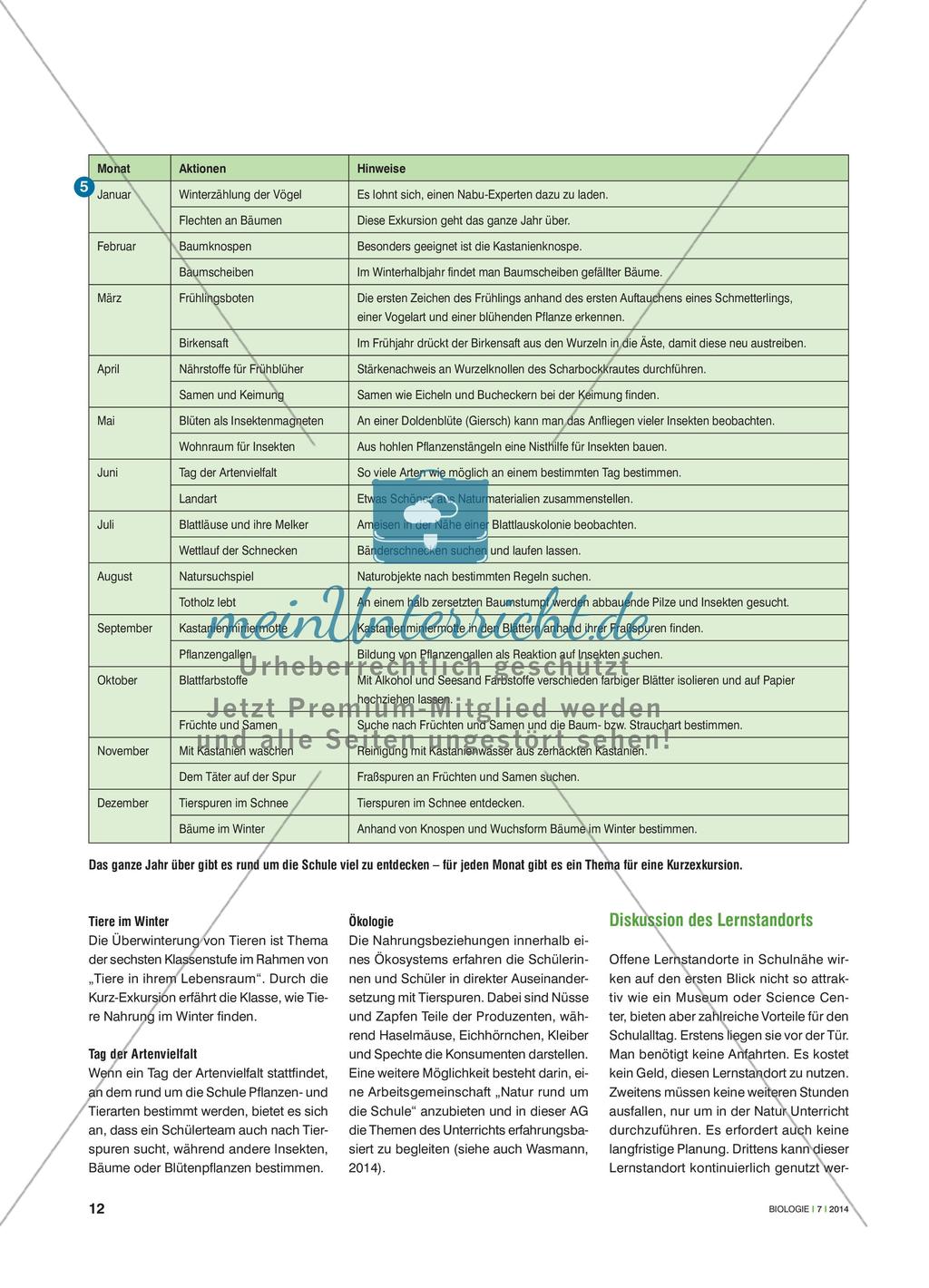 Vor der Schultür beginnen - Früchte und Samen mit Tierfraßspuren finden und bestimmen Preview 3