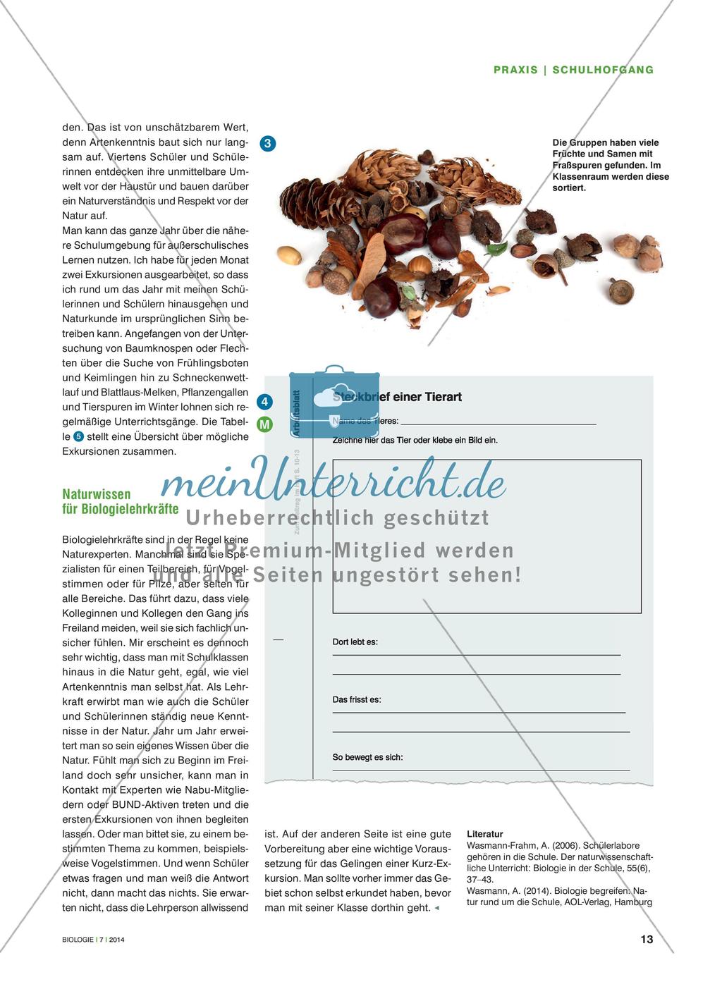 Vor der Schultür beginnen - Früchte und Samen mit Tierfraßspuren finden und bestimmen Preview 4