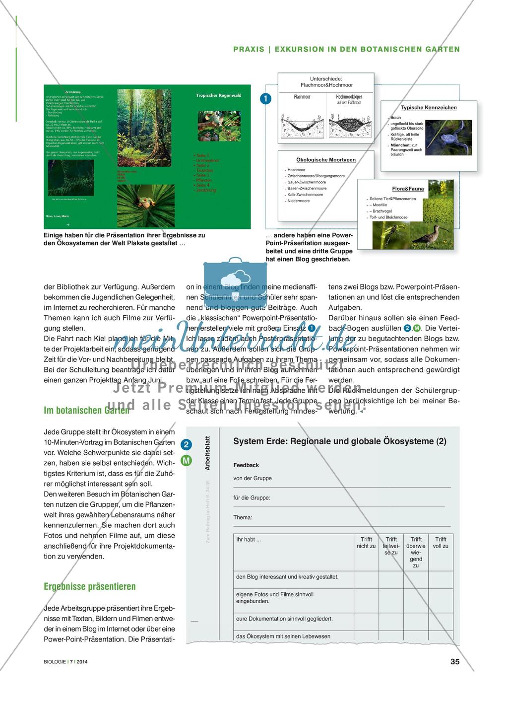Ab in die Botanik! - Exkursion in den Botanischen Garten im Rahmen eines Ökologie-Projekts Preview 2