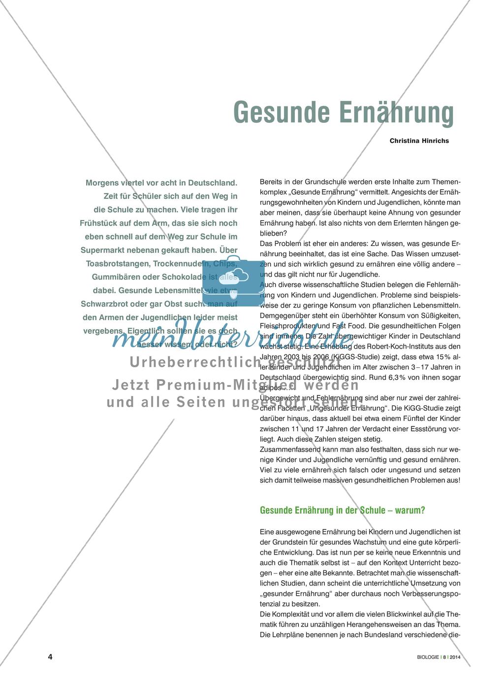 Gesunde Ernährung Preview 1