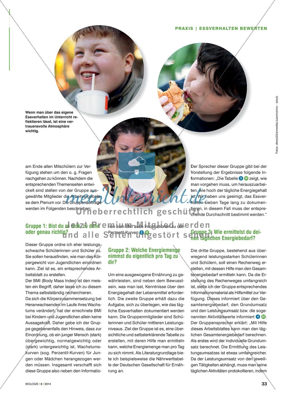 Zu dick, zu dünn, genau richtig? - Einen Leitfaden zur Bewertung des eigenen Essverhaltens erstellen Preview 2