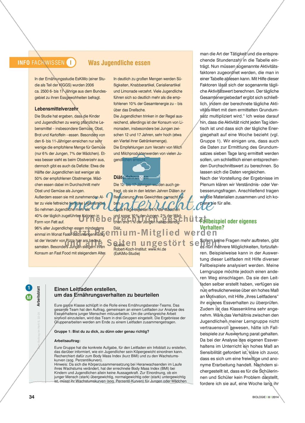 Zu dick, zu dünn, genau richtig? - Einen Leitfaden zur Bewertung des eigenen Essverhaltens erstellen Preview 3