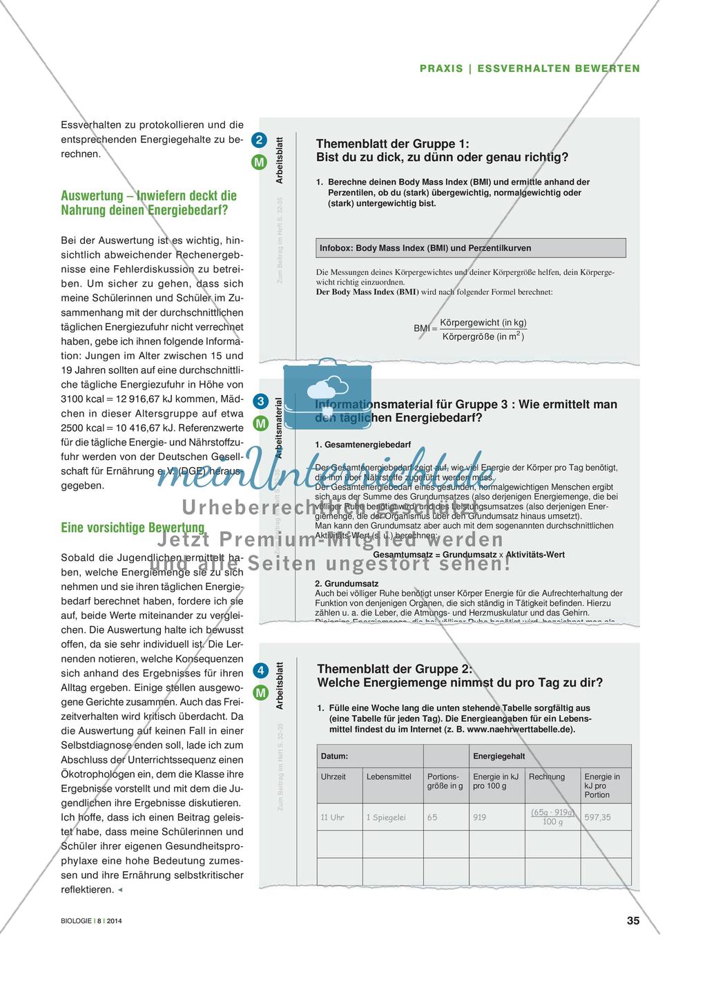 Zu dick, zu dünn, genau richtig? - Einen Leitfaden zur Bewertung des eigenen Essverhaltens erstellen Preview 4