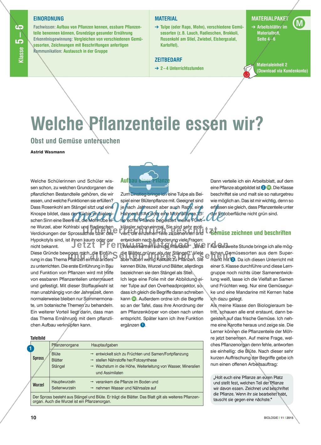 Welche Pflanzenteile essen wir? - Obst und Gemüse untersuchen Preview 1