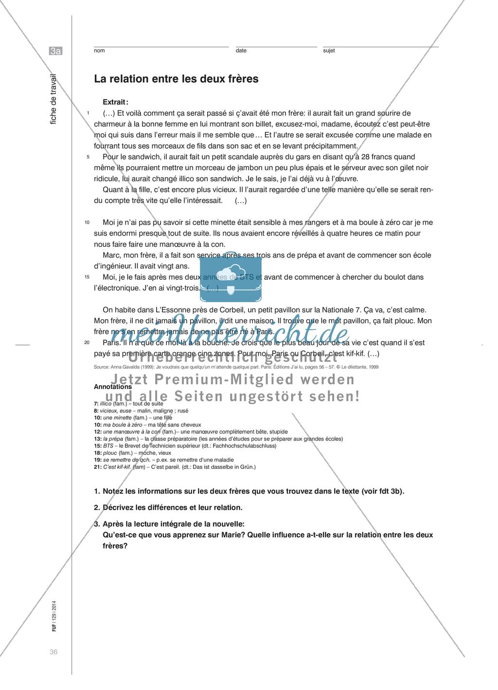Analyse von Problemen junger Erwachsener Preview 6