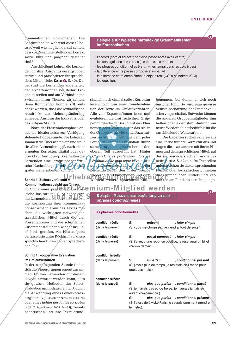 Aufarbeitung von Grammatikfehlern Preview 4