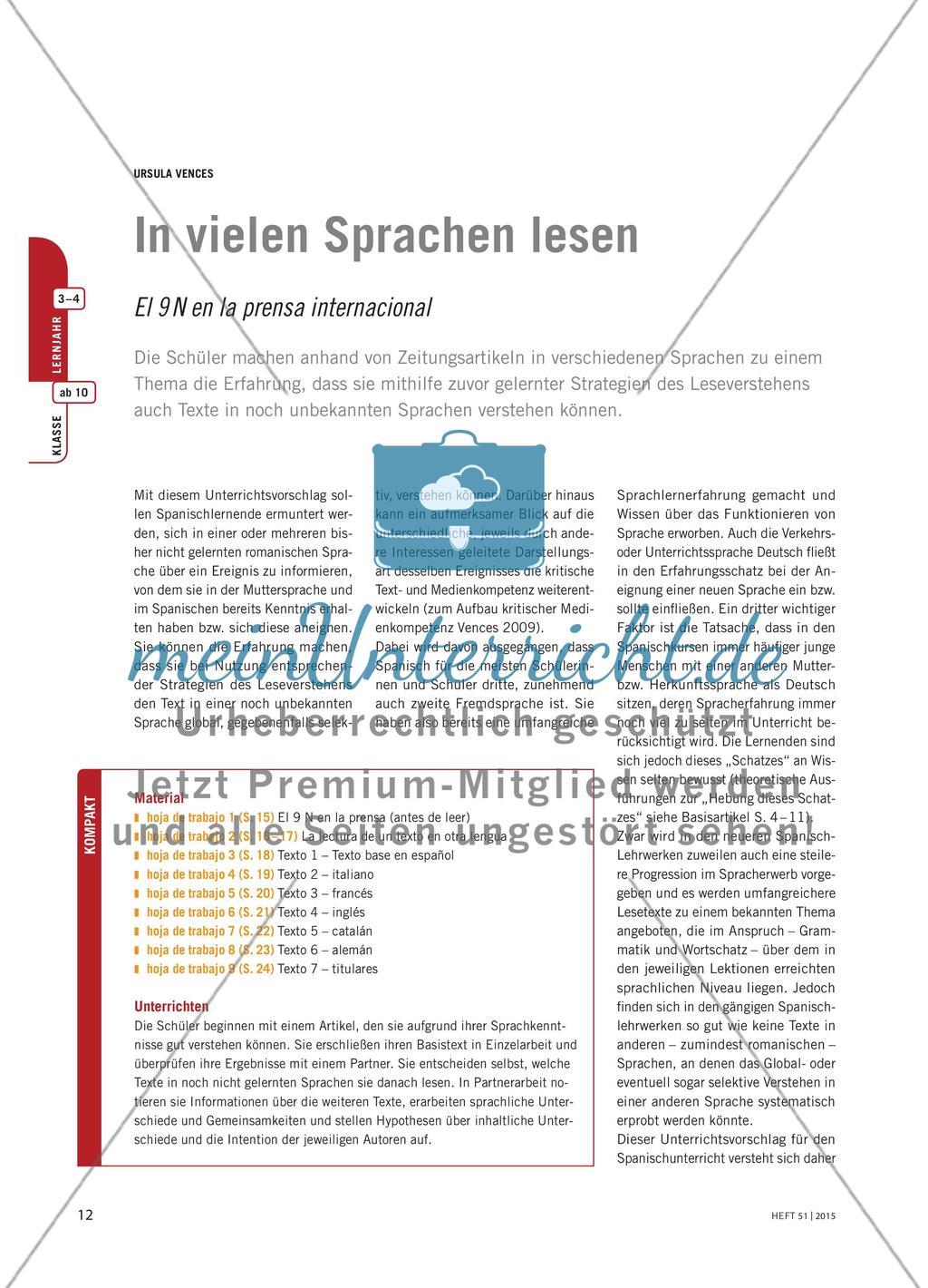 In vielen Sprachen lesen - El 9 N en la prensa internacional Preview 1