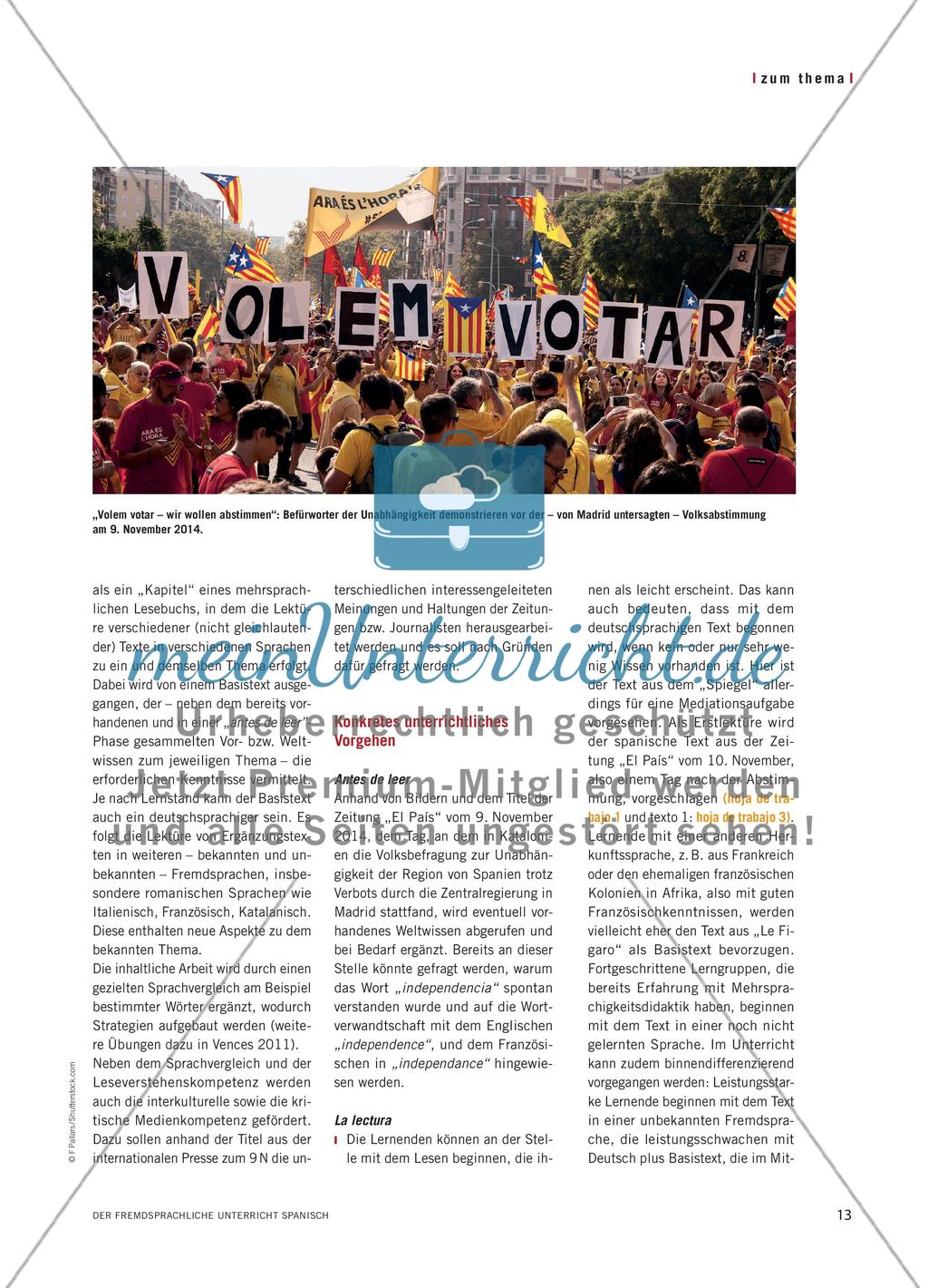 In vielen Sprachen lesen - El 9 N en la prensa internacional Preview 2
