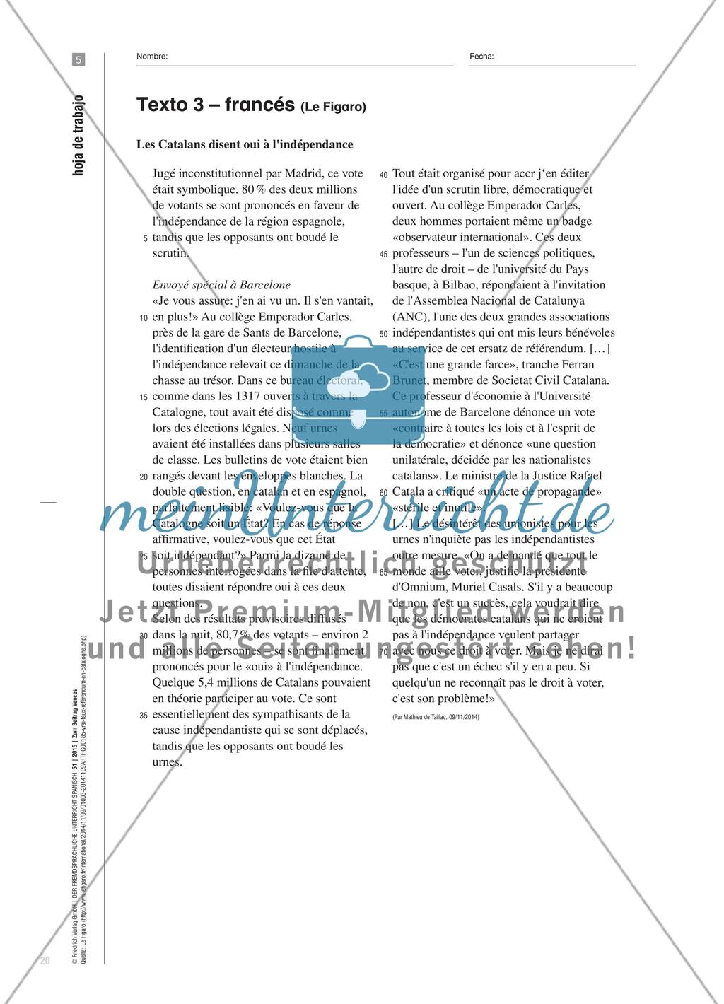 In vielen Sprachen lesen - El 9 N en la prensa internacional Preview 9