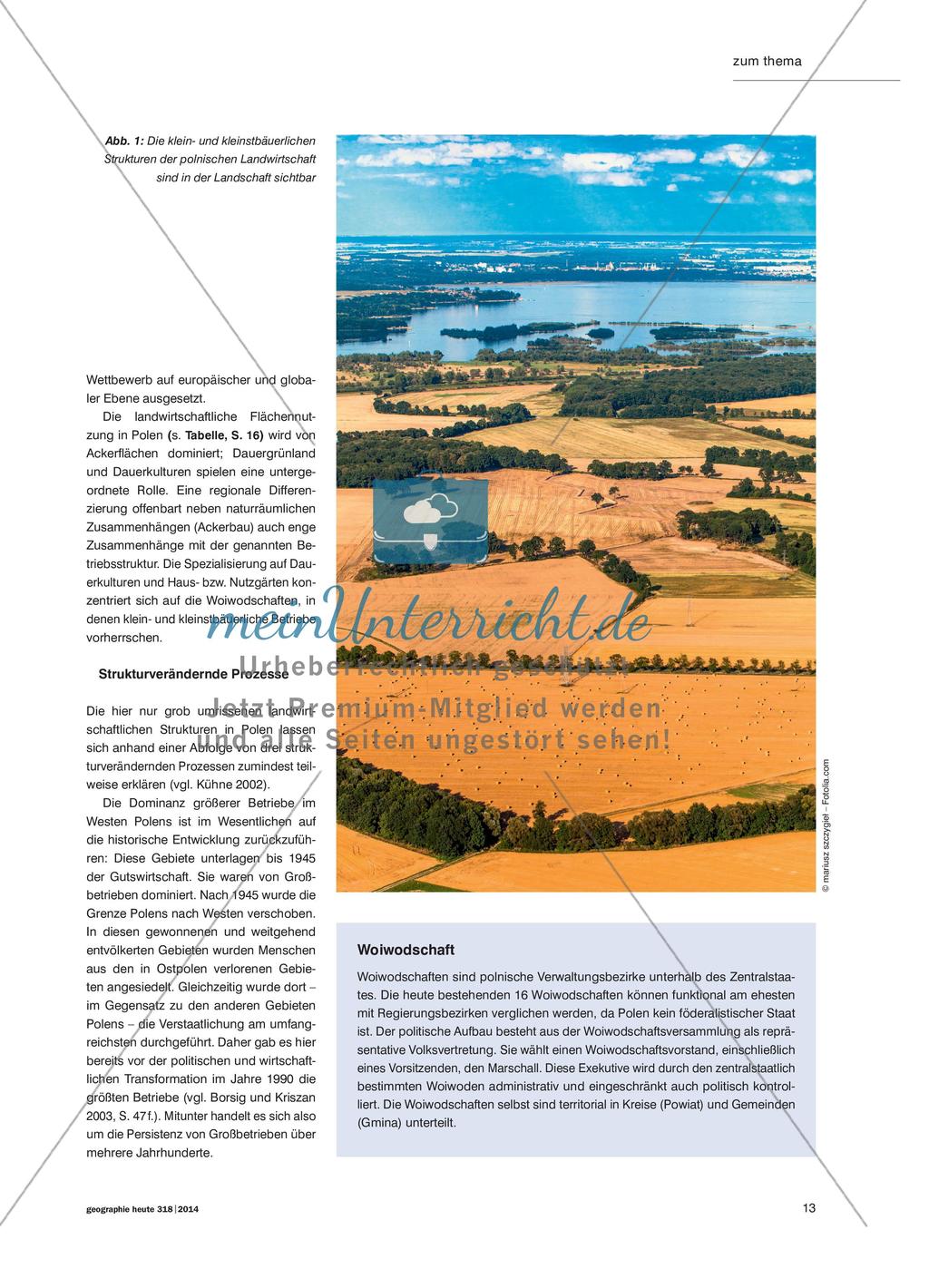 Landwirtschaft in Polen - Struktur- und Prozessanalyse eines Agrarlandes Preview 2
