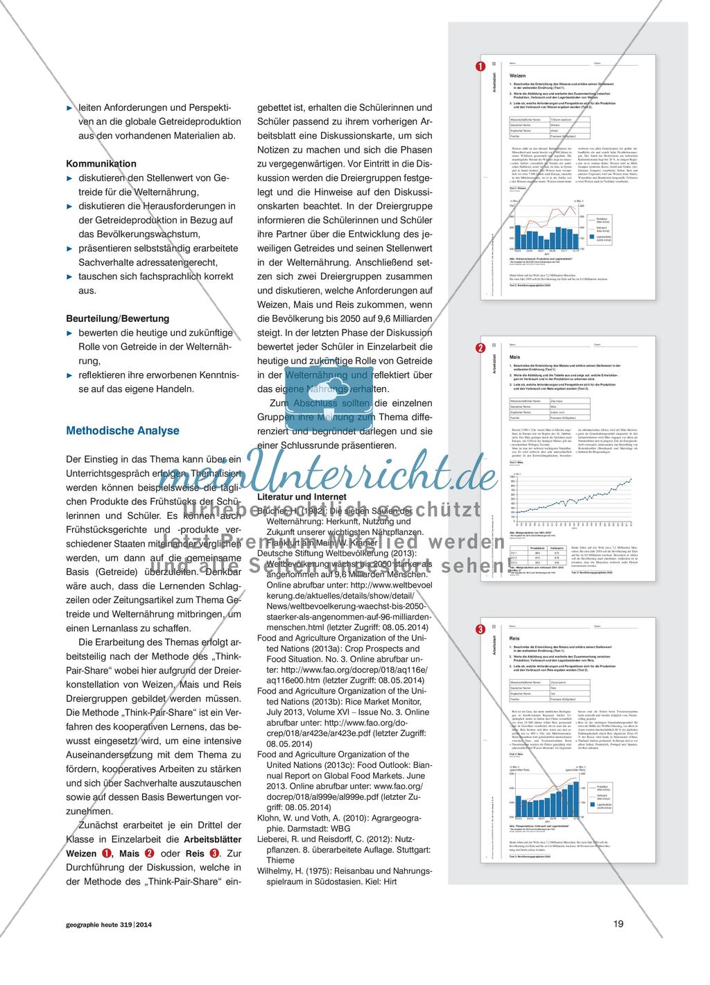 Weizen, Mais und Reis - Drei Eckpfeiler der weltweiten Ernährung Preview 4