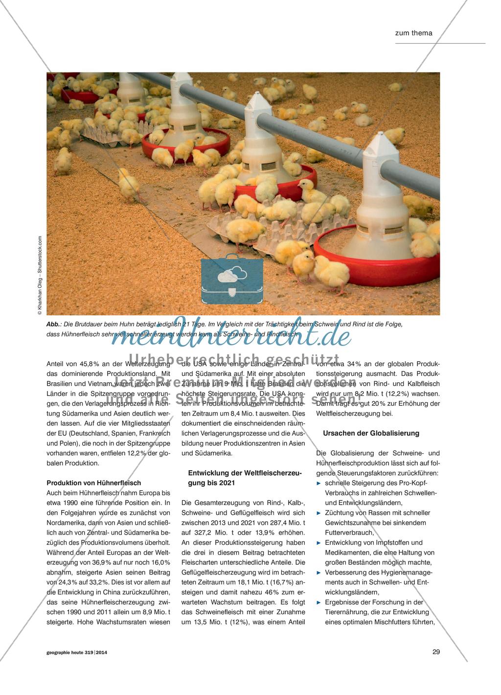 Die Globalisierung der Fleischproduktion - Räumliche Verlagerungsprozesse und ihre Ursachen Preview 2