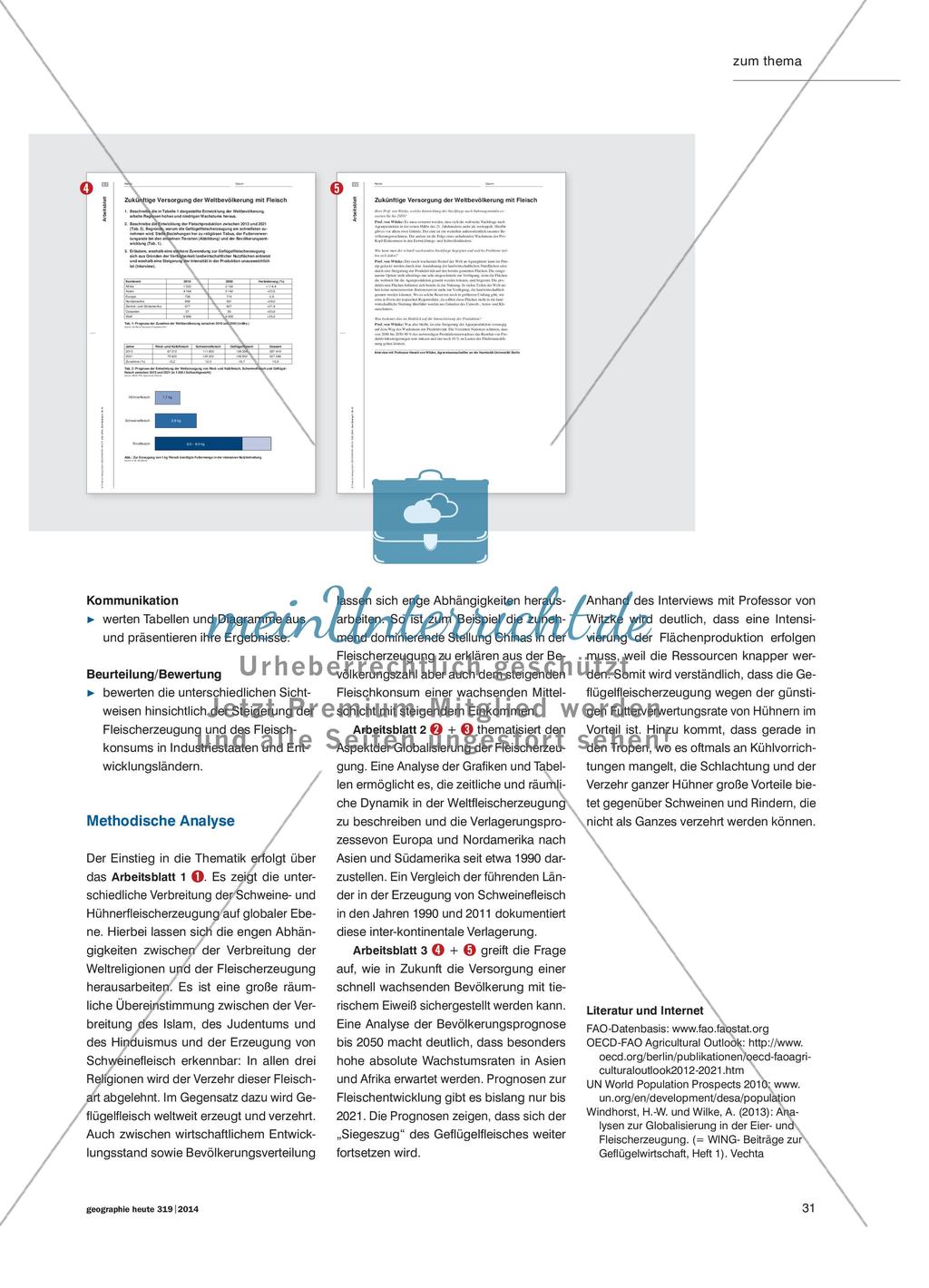 Die Globalisierung der Fleischproduktion - Räumliche Verlagerungsprozesse und ihre Ursachen Preview 4