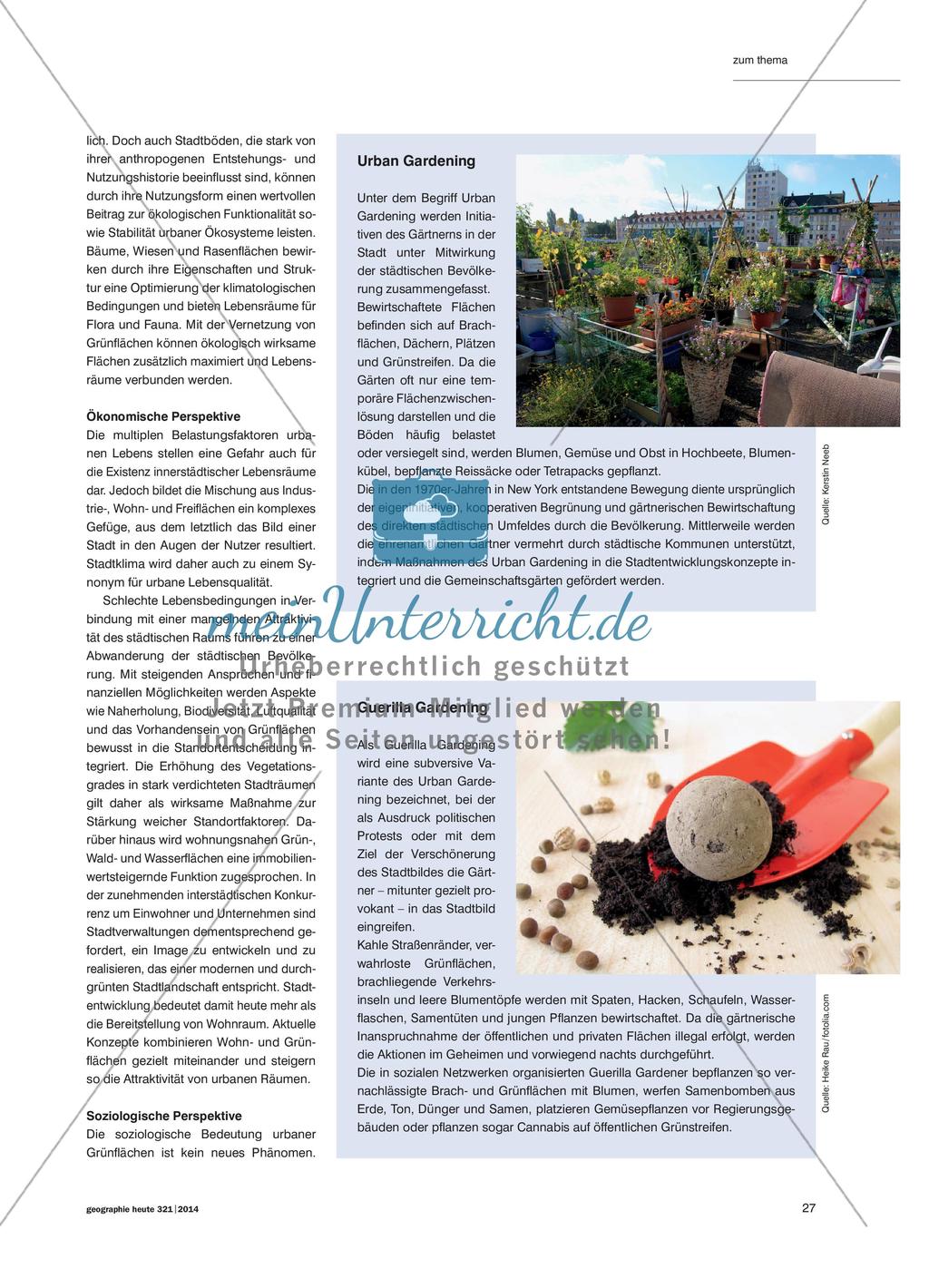 Das Stadtklima verbessern – aber wie?: Urban Gardening als Ressource einer nachhaltigen Stadtentwicklung Preview 2