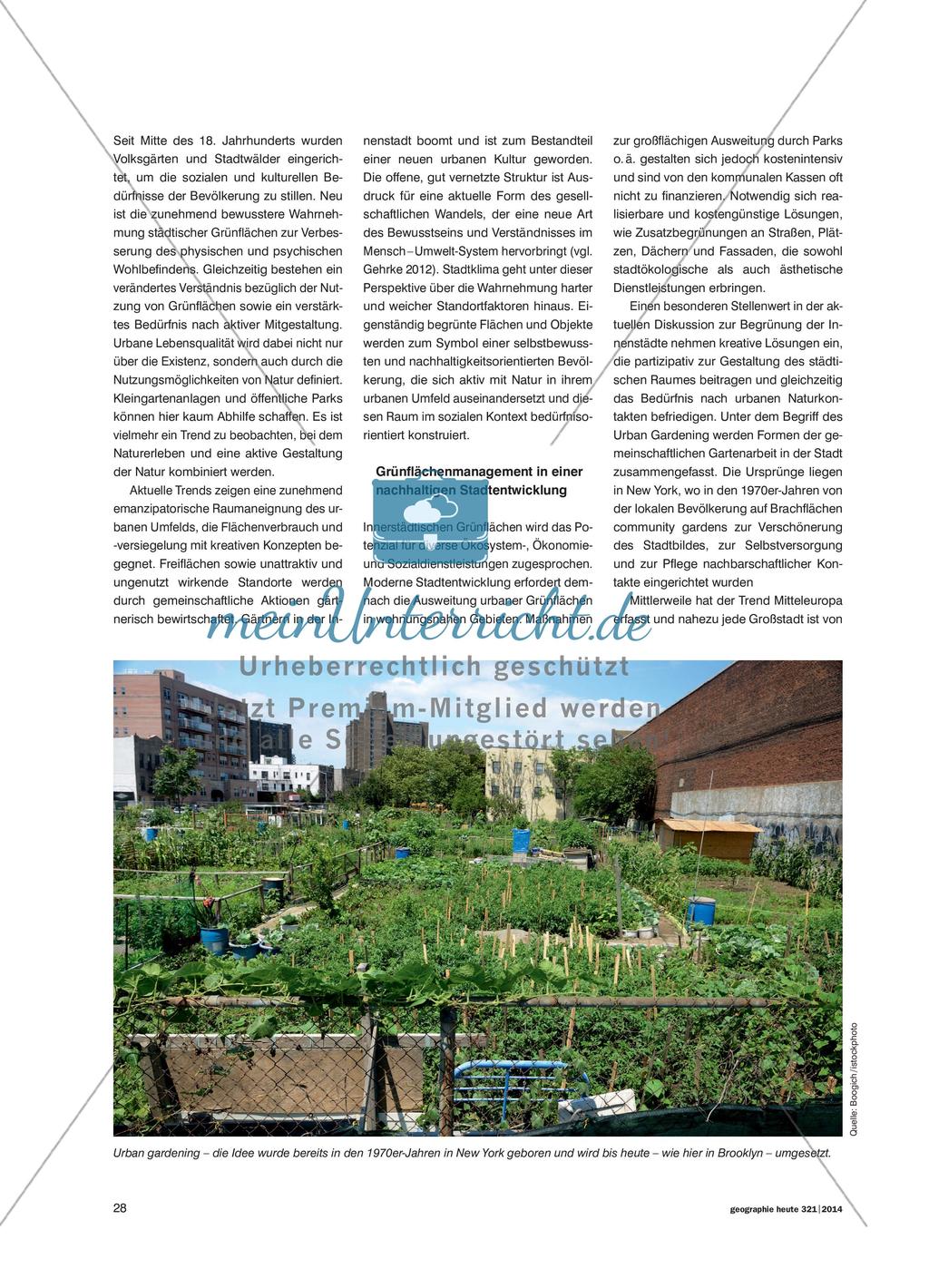 Das Stadtklima verbessern – aber wie?: Urban Gardening als Ressource einer nachhaltigen Stadtentwicklung Preview 3