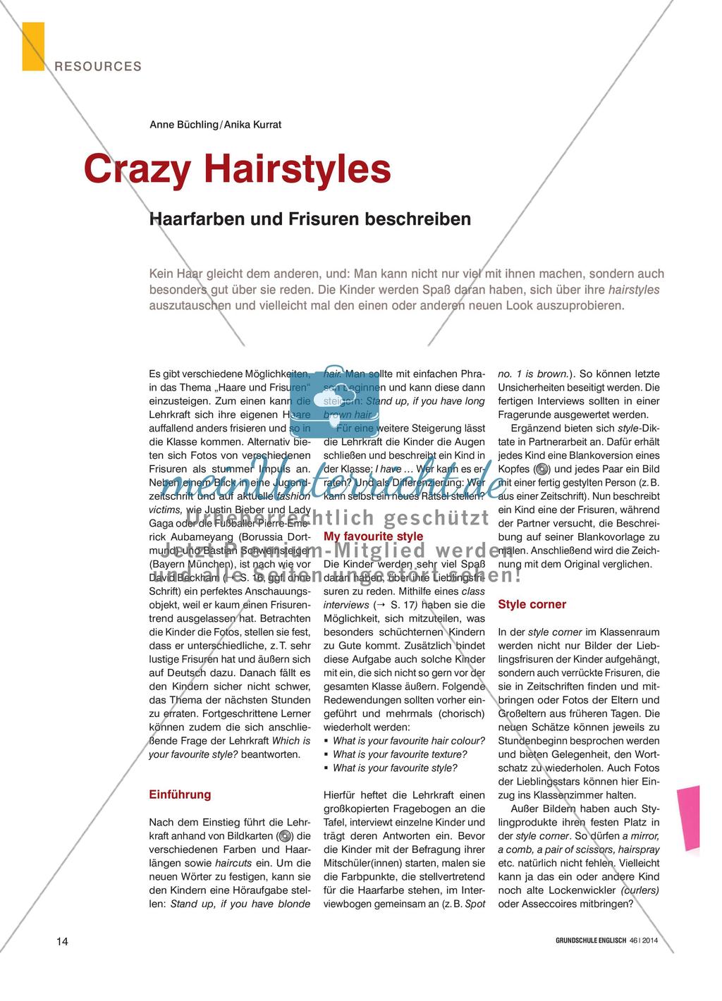 Crazy Hairstyles - Haarfarben und Frisuren beschreiben Preview 1
