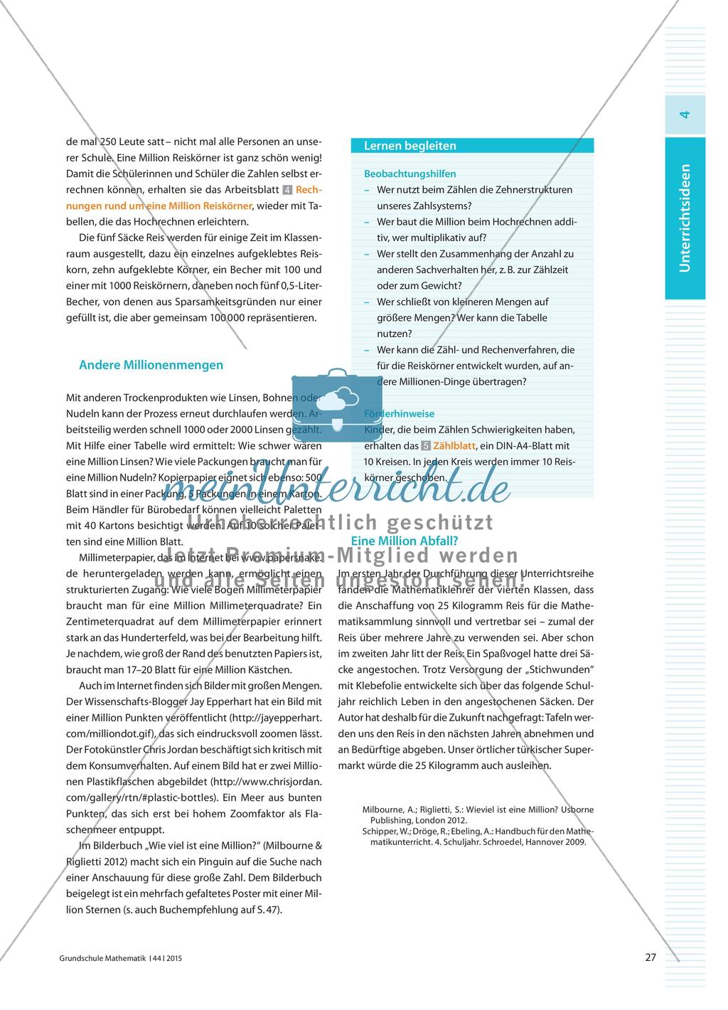 Eine Million Reiskörner - Mengenvorstellungen von einer Million entwickeln Preview 4