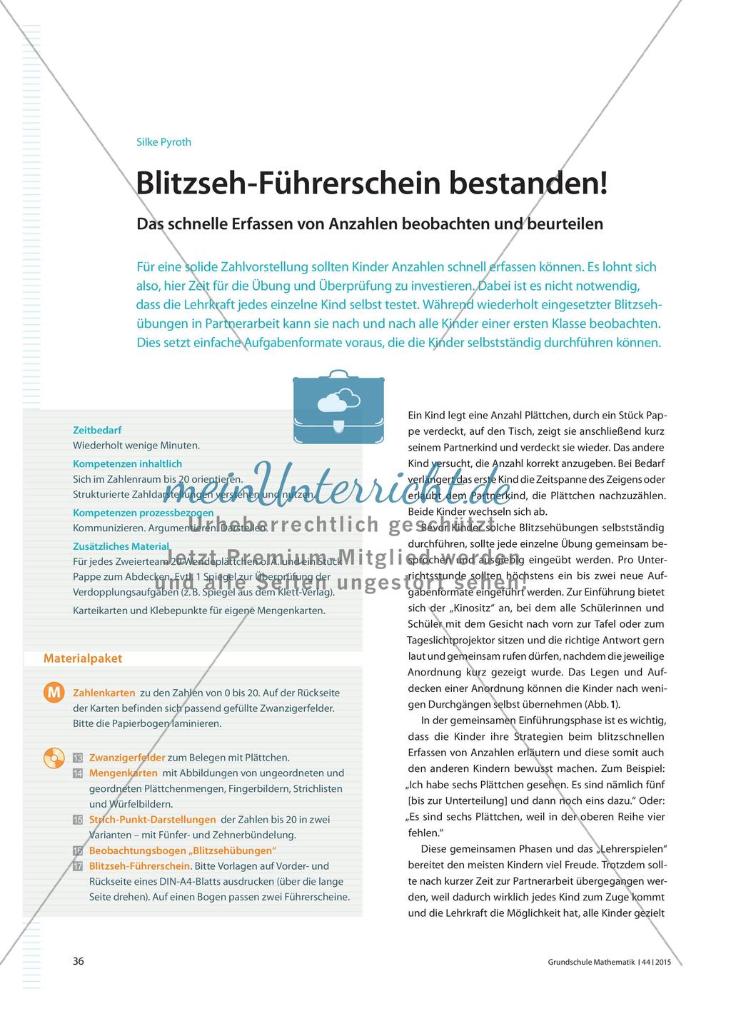 Blitzseh-Führerschein bestanden! - Das schnelle Erfassen von Anzahlen beobachten und beurteilen Preview 1