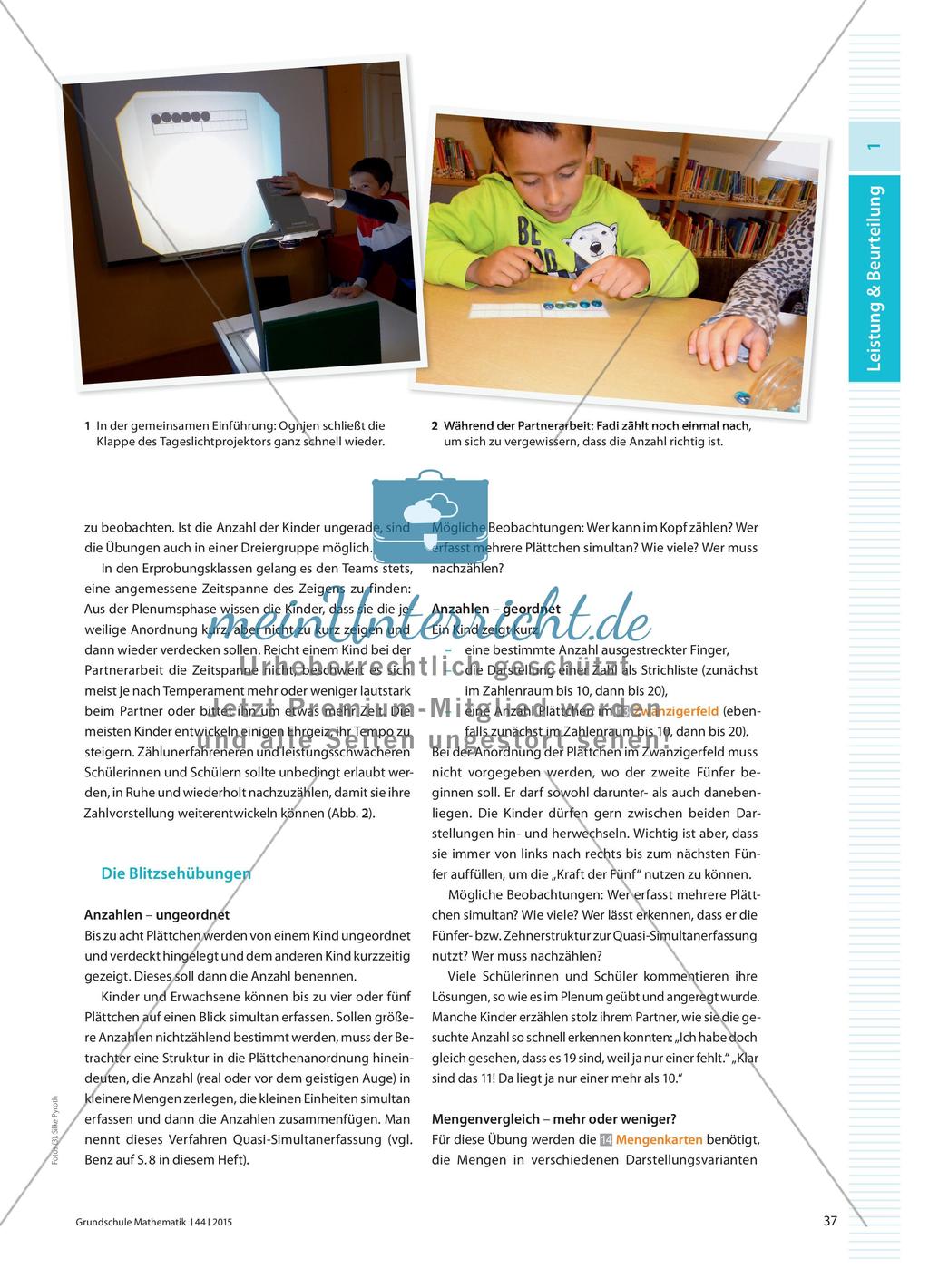 Blitzseh-Führerschein bestanden! - Das schnelle Erfassen von Anzahlen beobachten und beurteilen Preview 2