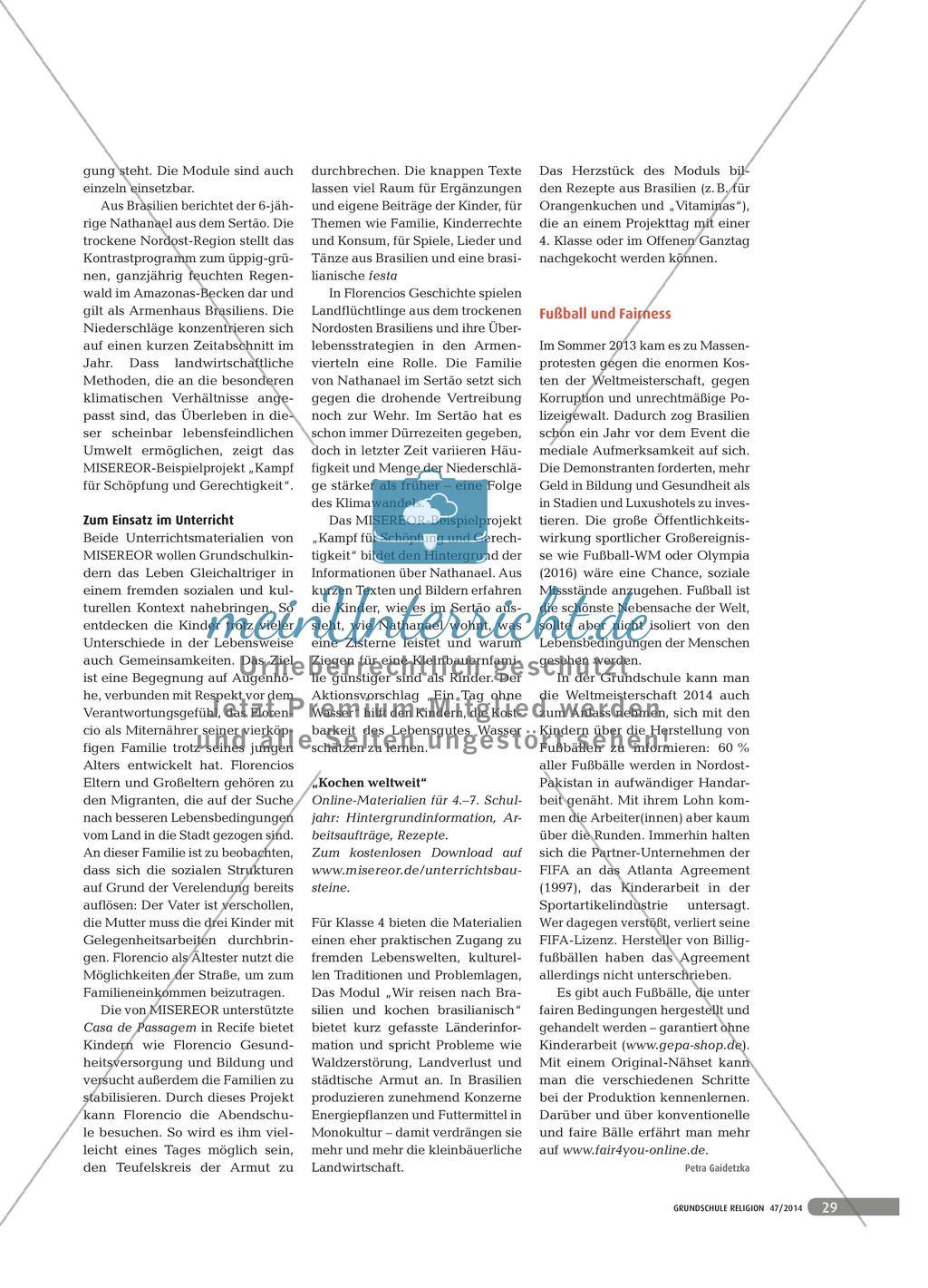 Brasilien: Unterrichtsthemen Preview 2
