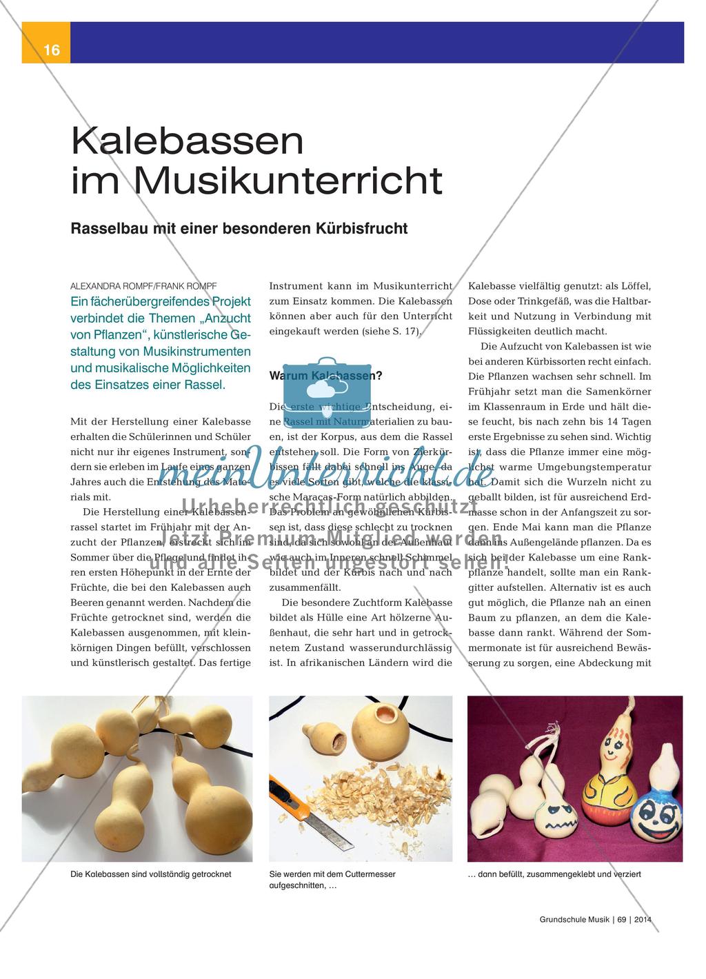 Kalebassen im Musikunterricht - Rasselbau mit einer besonderen Kürbisfrucht Preview 1