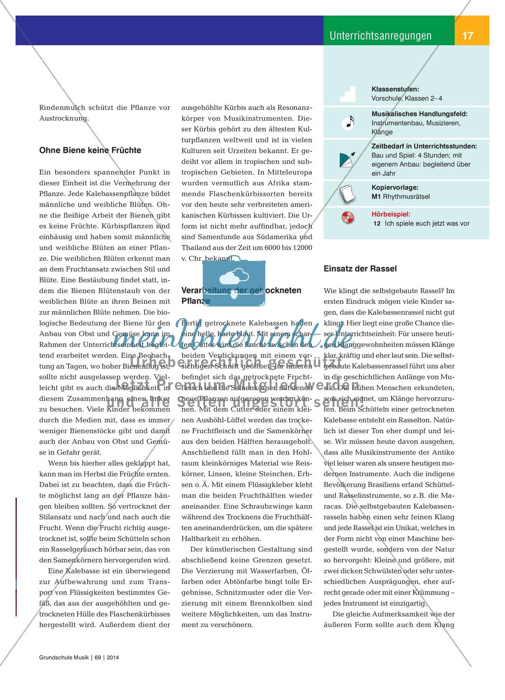 Kalebassen im Musikunterricht - Rasselbau mit einer besonderen Kürbisfrucht Preview 2