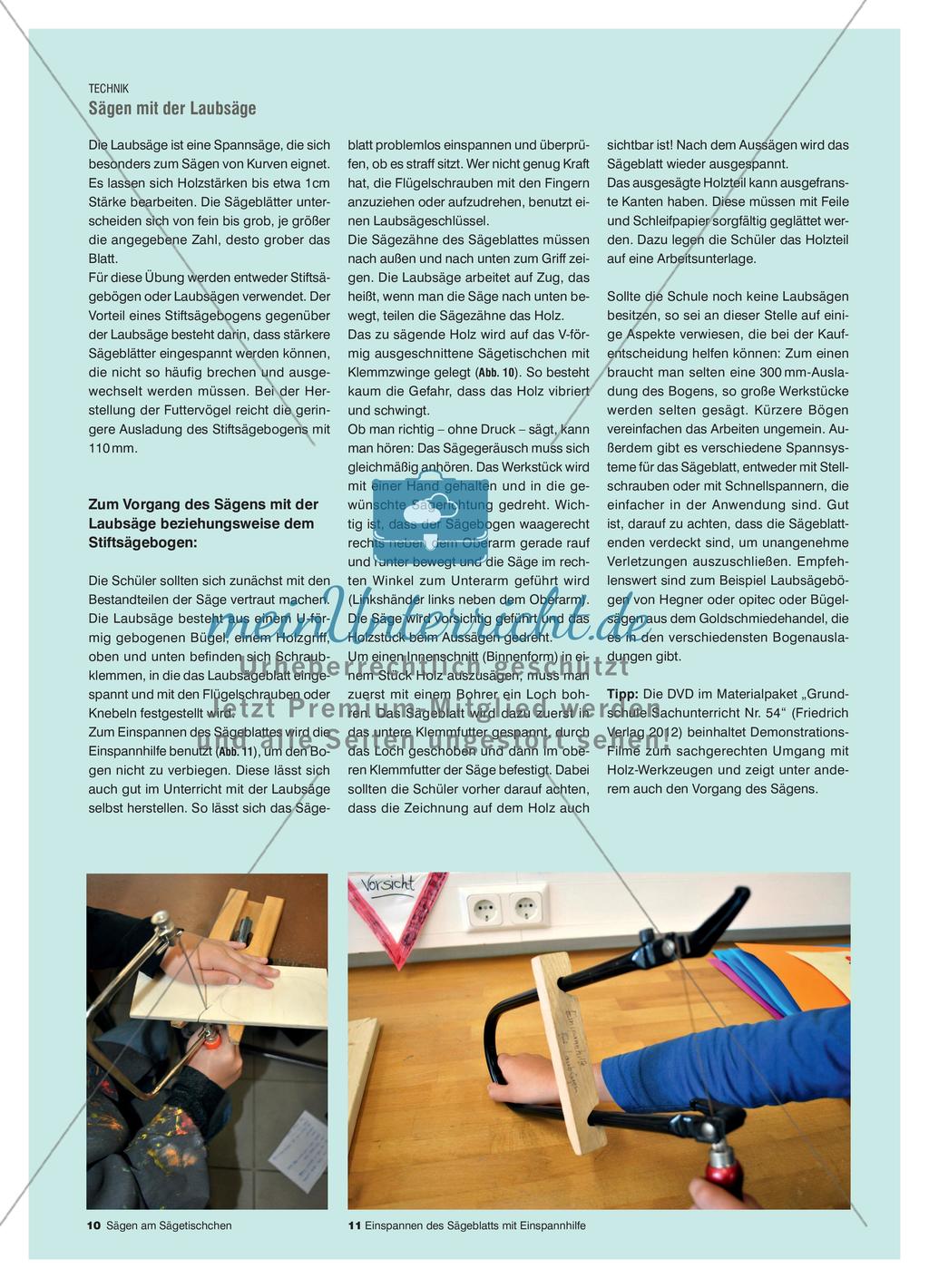 Futtervögel aus Holzresten sägen und verleimen Preview 5
