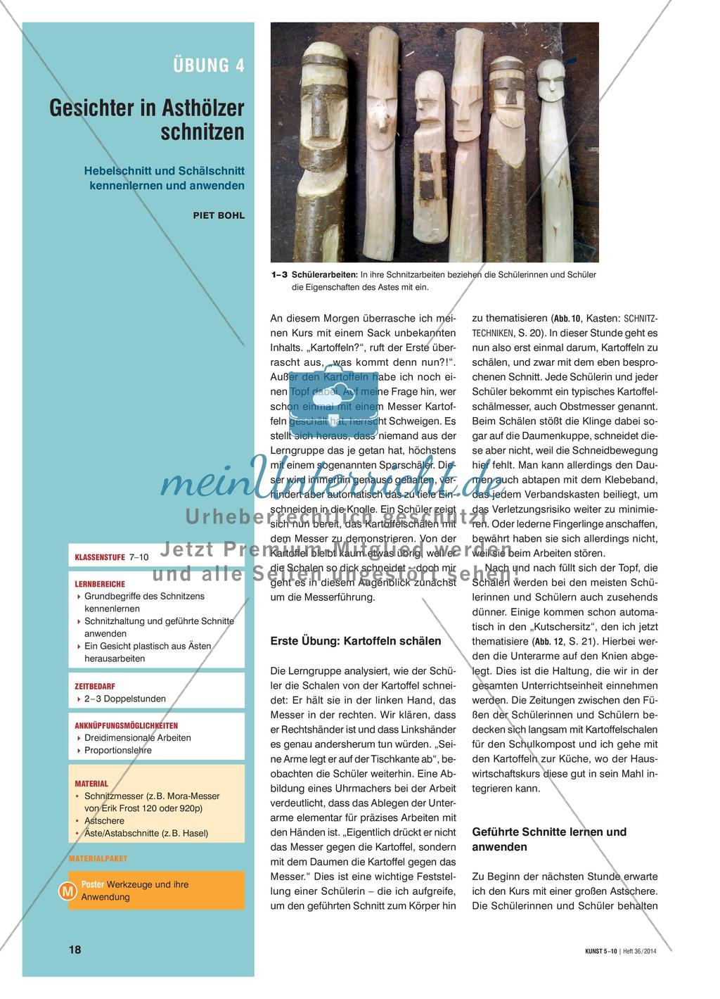 Gesichter in Asthölzer schnitzen Preview 1