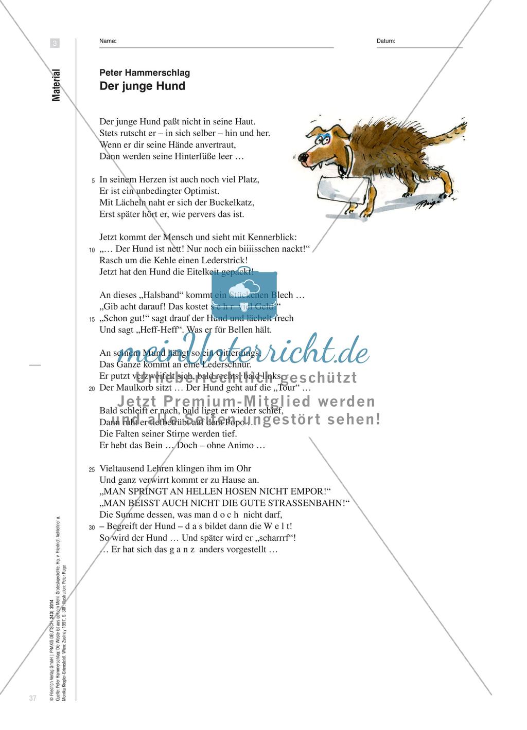 Komik und Tragik in Groteskgedichten von Peter Hammerschlag Preview 5