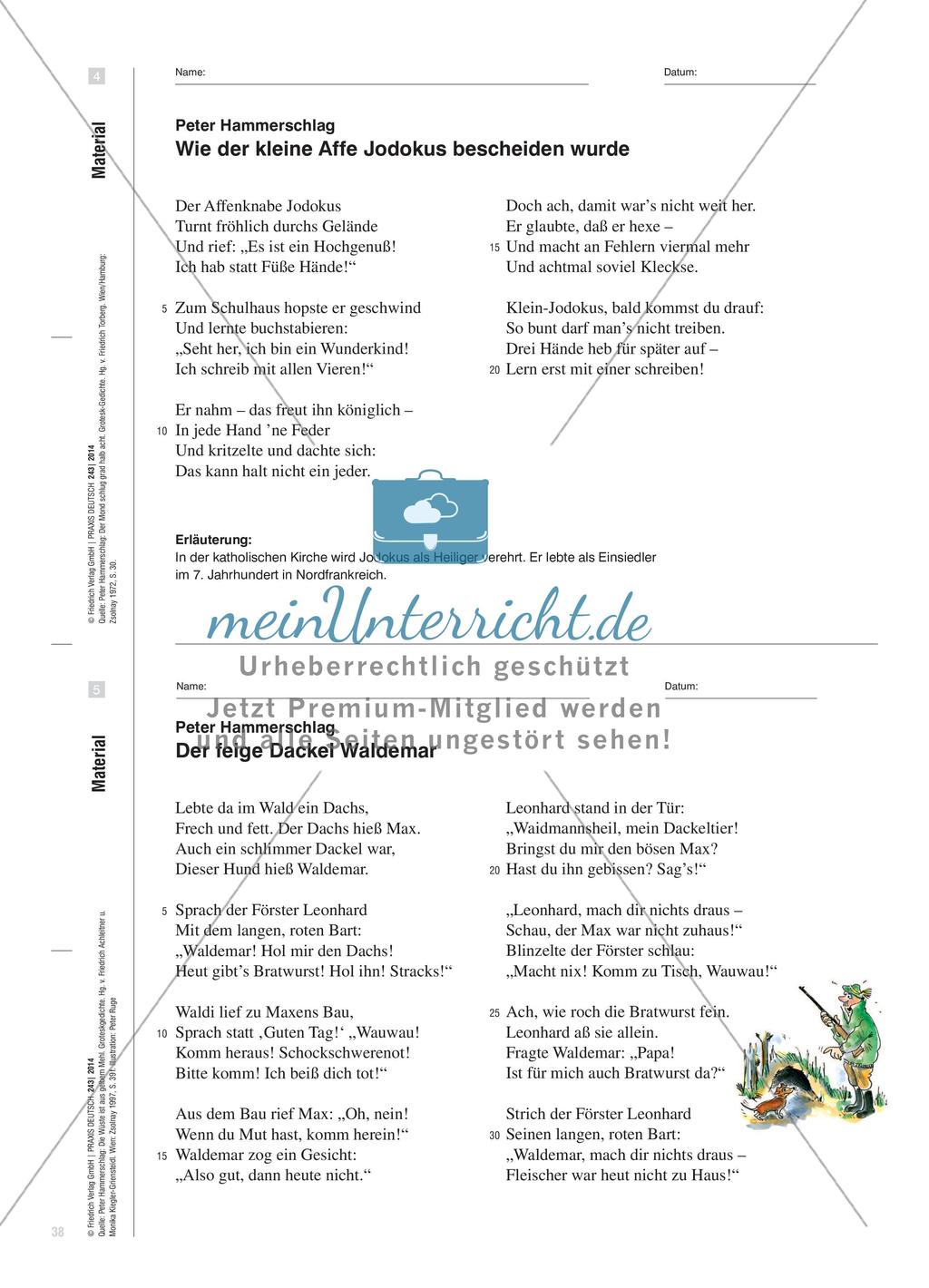 Komik und Tragik in Groteskgedichten von Peter Hammerschlag Preview 6