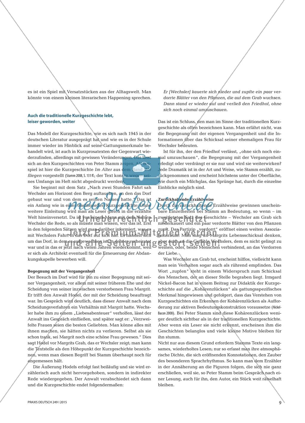 Neueste Kurzprosa Preview 6