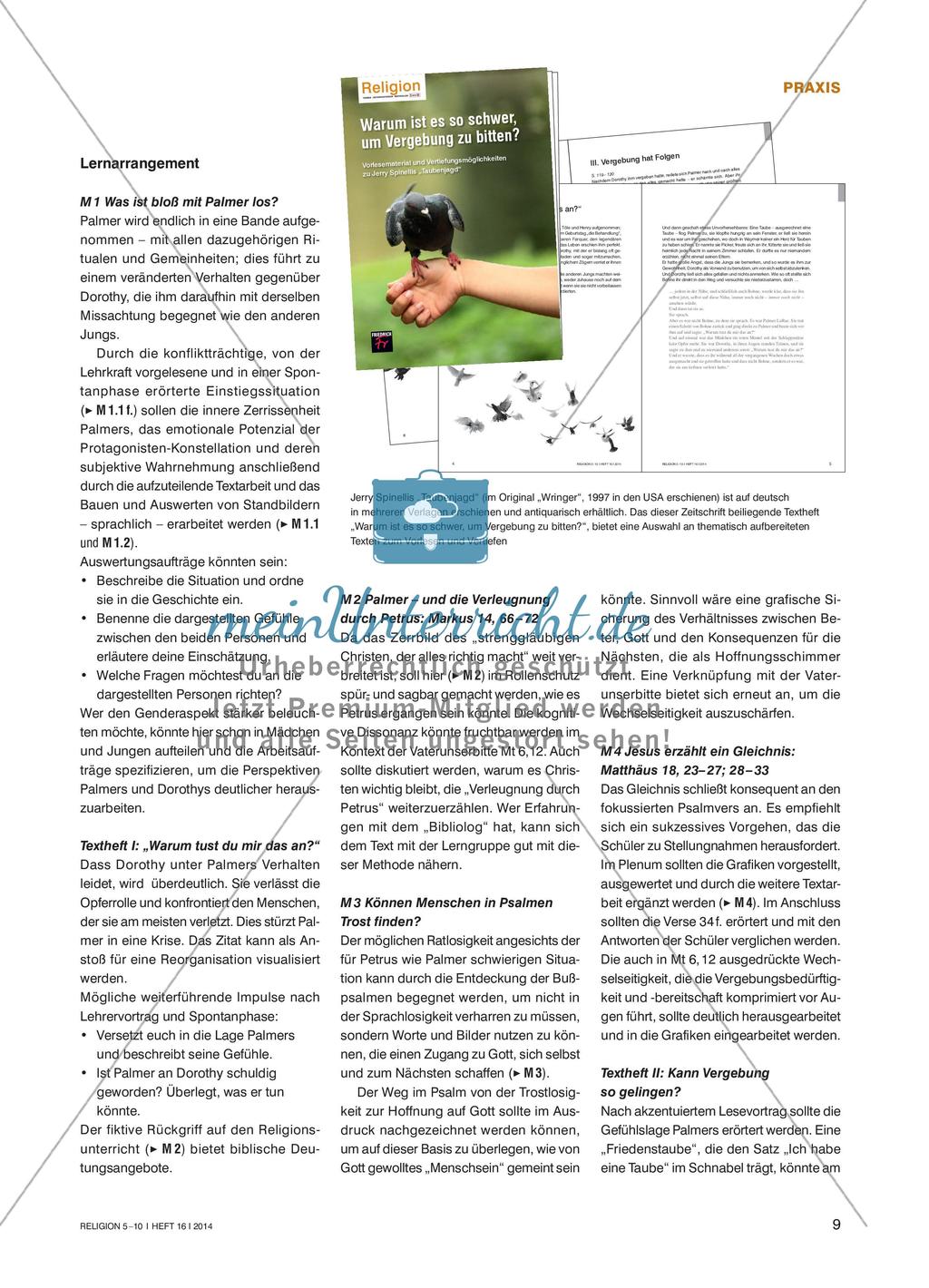 Problematik der Vergebung Preview 2
