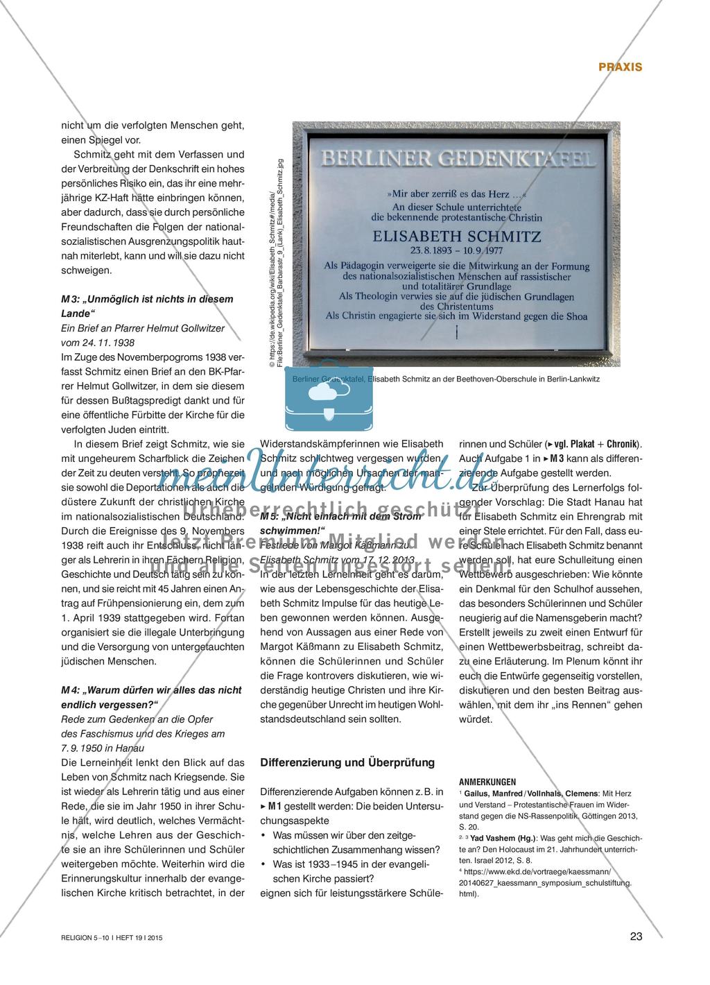 Elisabeth Schmitz Preview 4