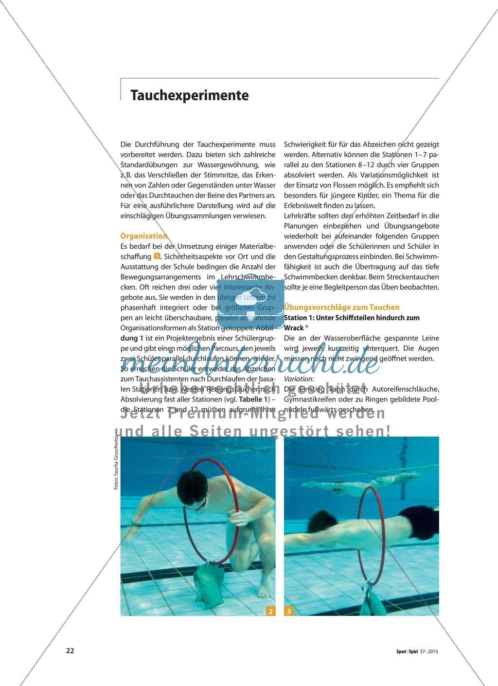 Ein Tauchabzeichen erwerben - Die Unterwasserwelt sicher beherrschen Preview 2