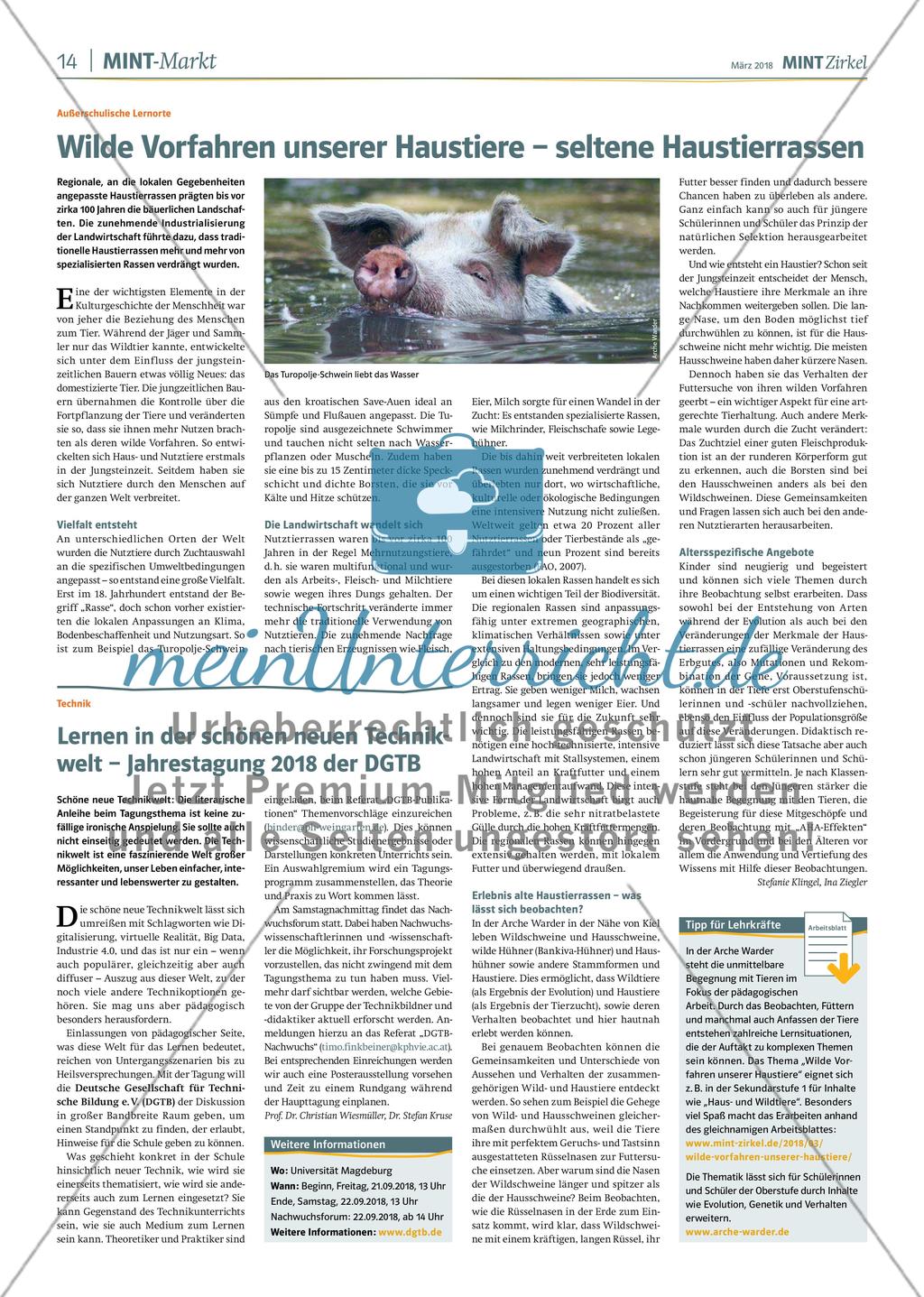 MINT Zirkel - Ausgabe 1, März 2018 Preview 14