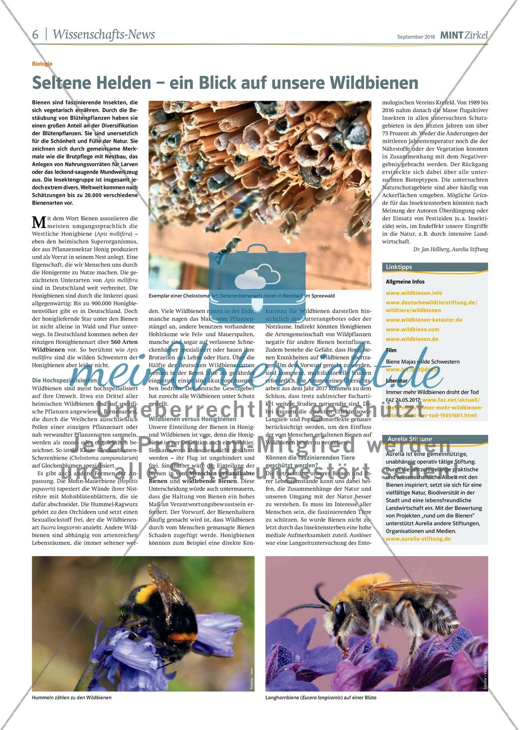 MINT Zirkel - Ausgabe 3, September 2018 Preview 6