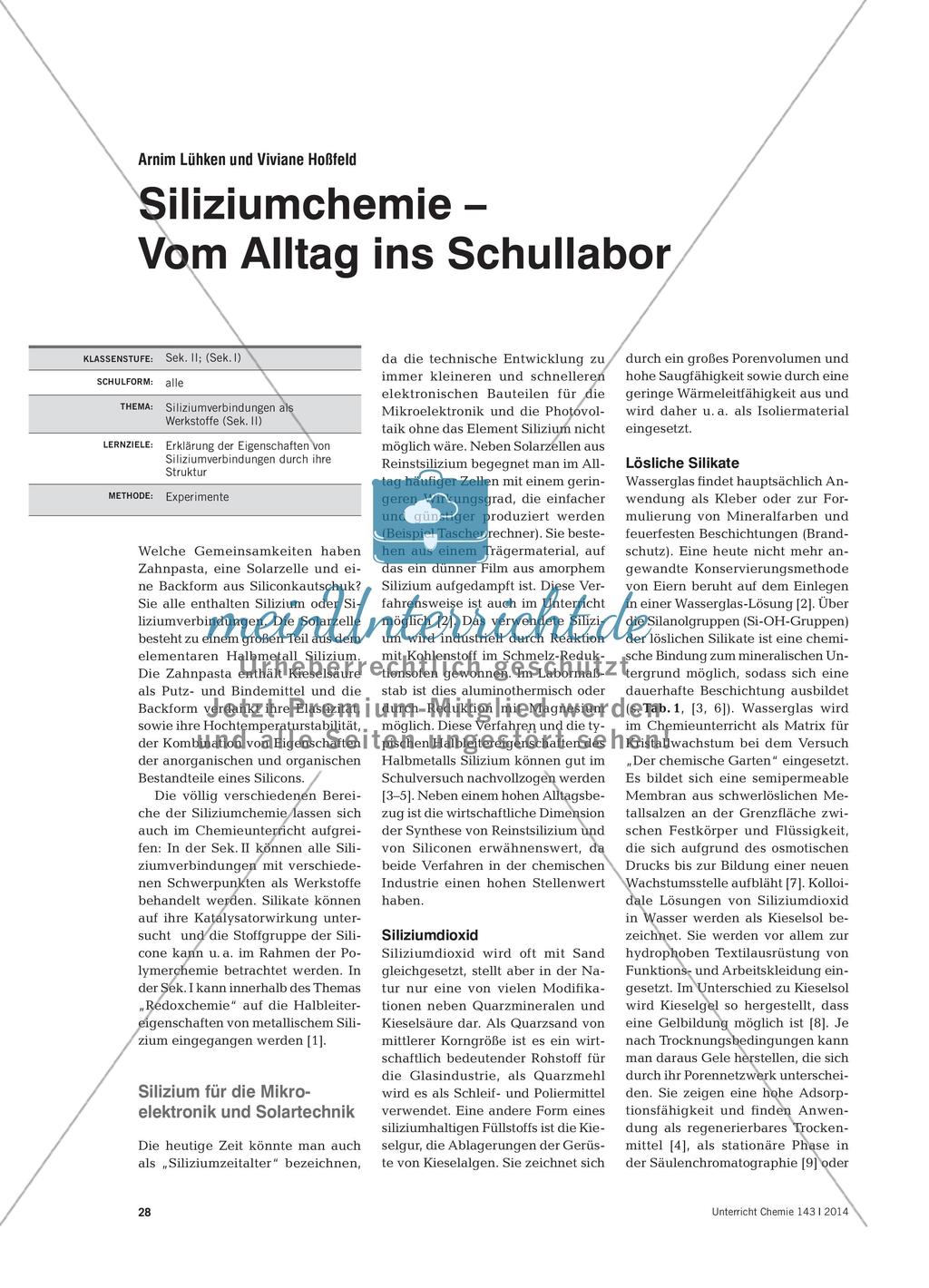 Siliziumchemie – Vom Alltag ins Schullabor Preview 1