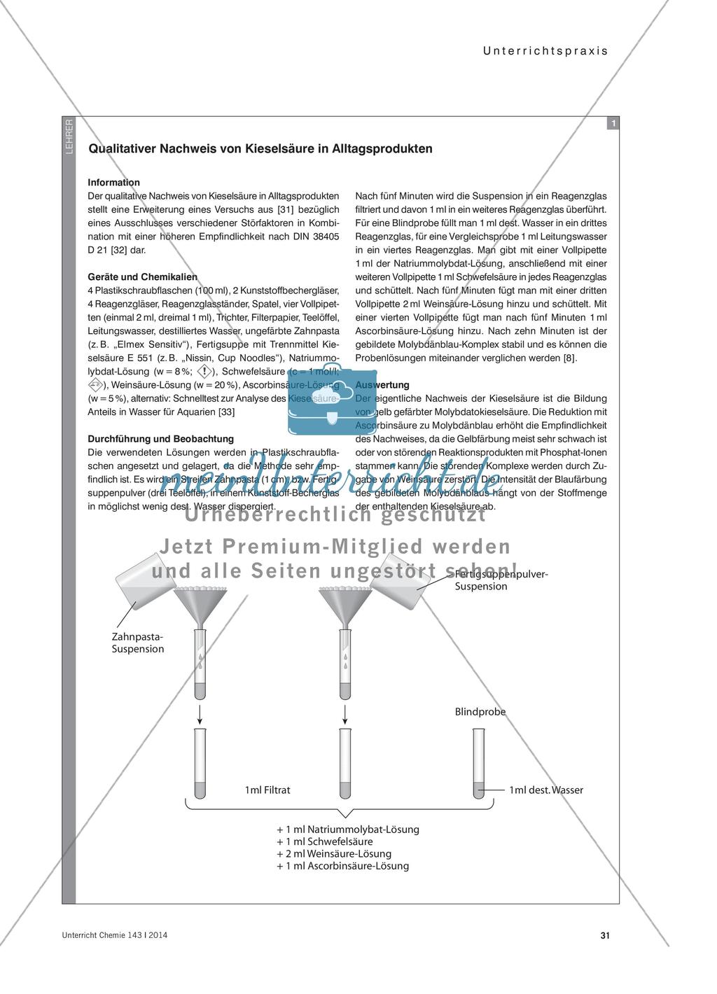 Siliziumchemie – Vom Alltag ins Schullabor Preview 4