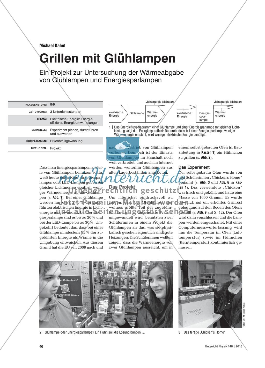 Grillen mit Glühlampen - Ein Projekt zur Untersuchung der Wärmeabgabe von Glühlampen und Energiesparlampen Preview 1