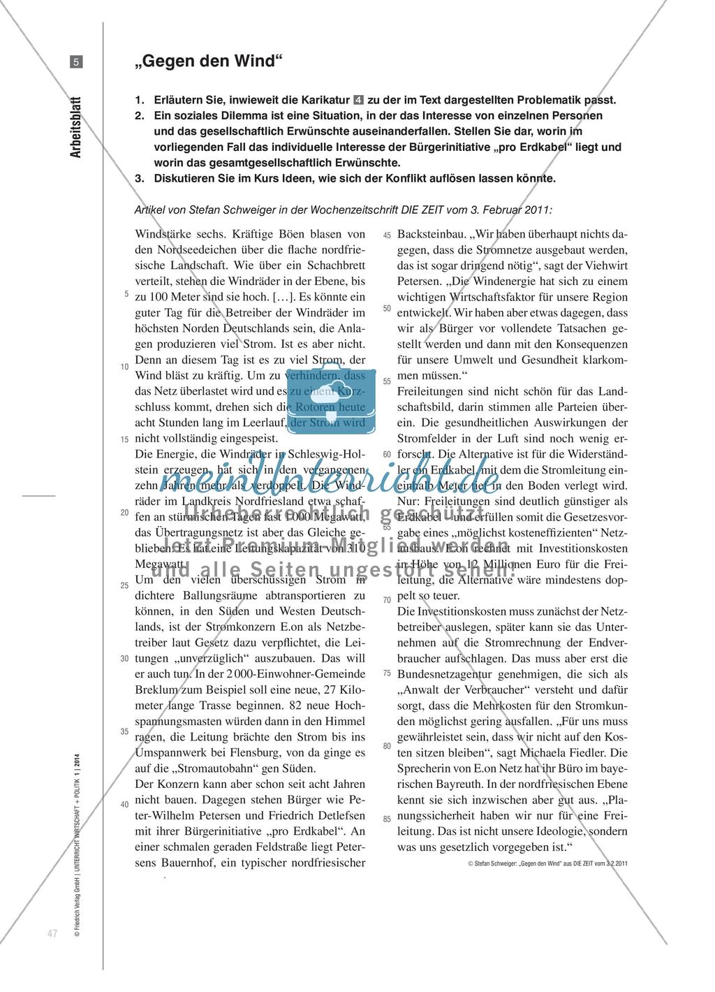 Gegen den Strom? - Der Netzausbau im Spannungsfeld von Eigeninteresse und Umweltschutz Preview 6