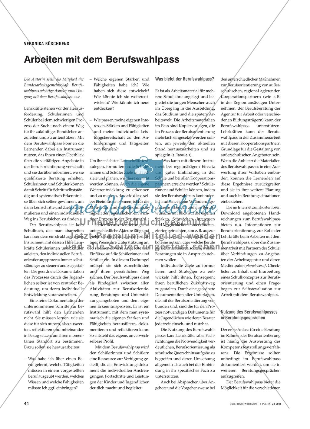 Arbeiten mit dem Berufswahlpass Preview 1