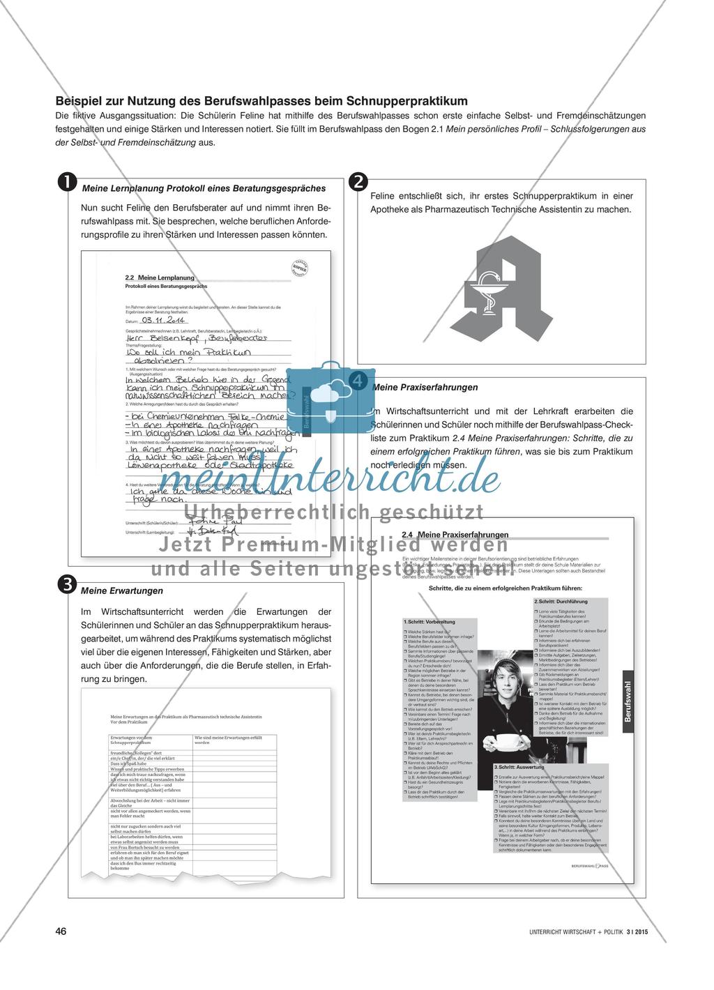 Arbeiten mit dem Berufswahlpass Preview 3