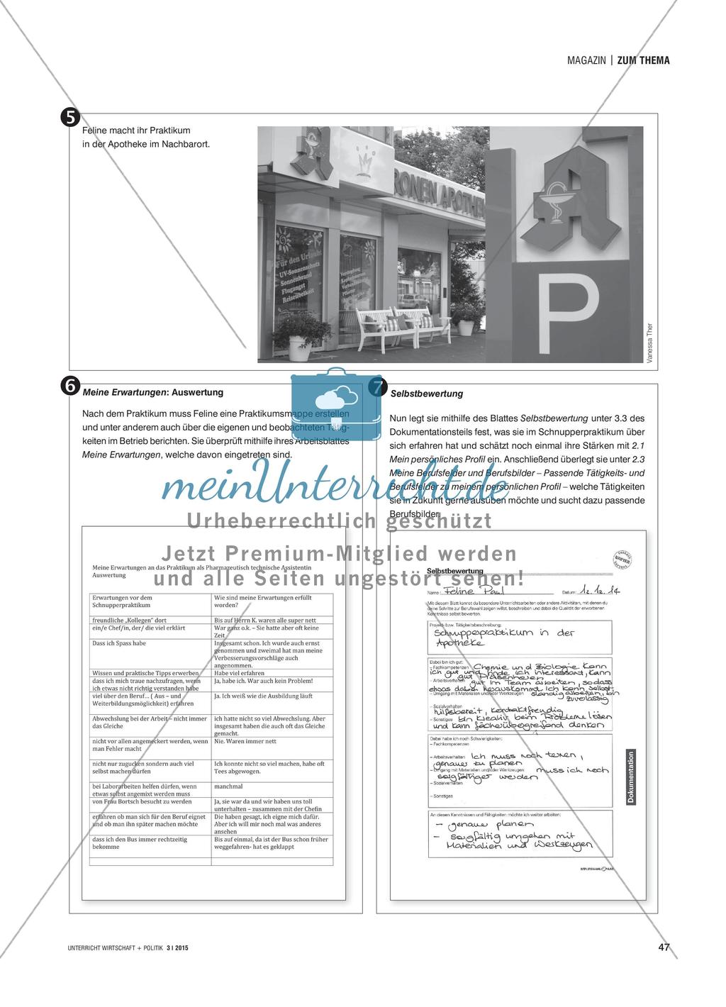 Arbeiten mit dem Berufswahlpass Preview 4
