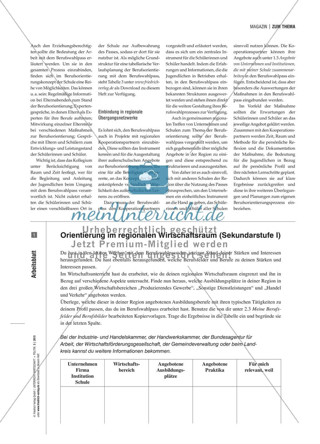 Arbeiten mit dem Berufswahlpass Preview 6