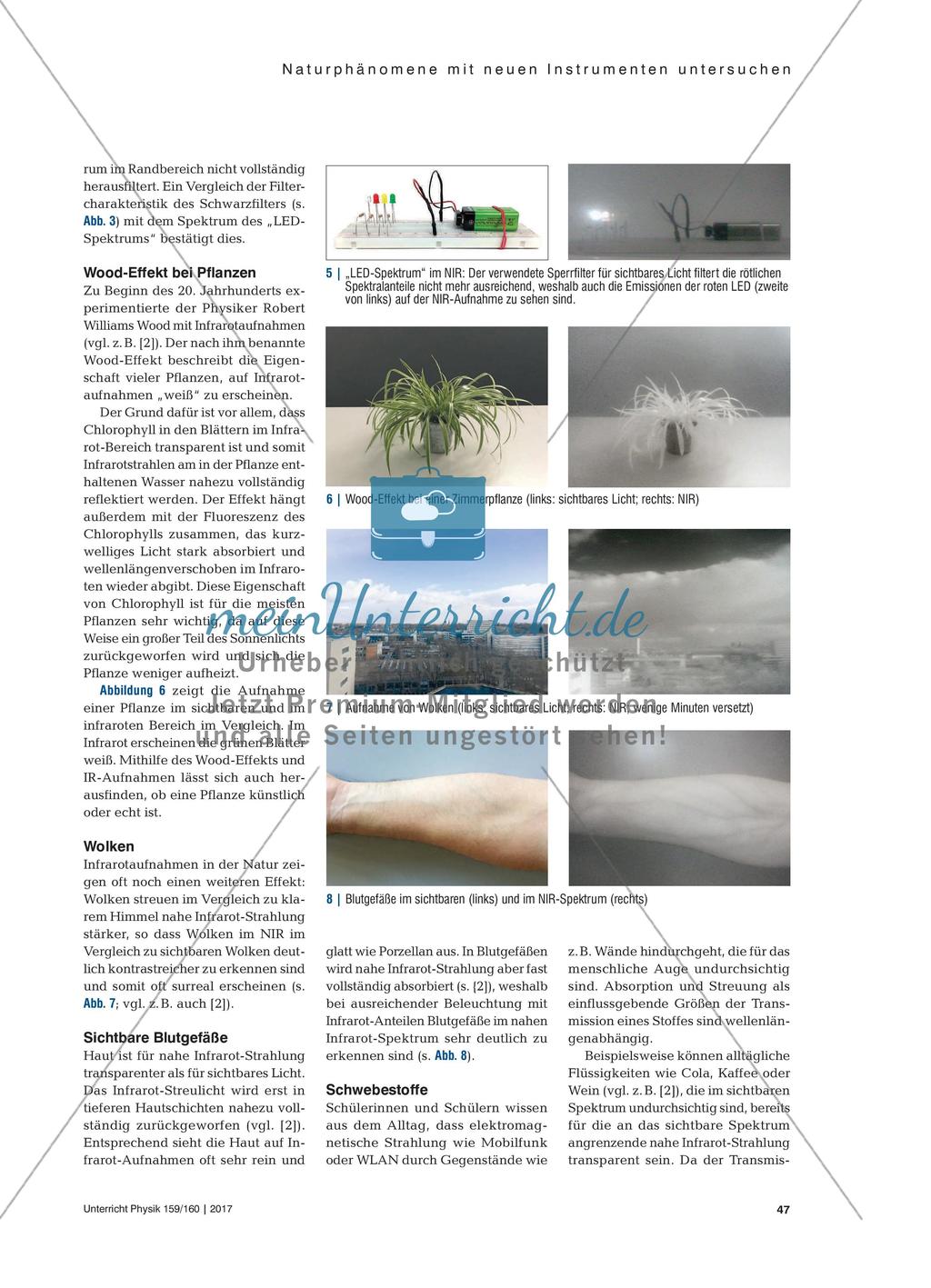 … there is more than meets the eye - Naturphänomene im nahen Infrarotbereich mit Webcams sichtbar machen Preview 4