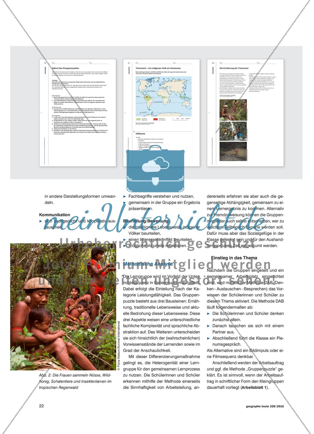 Das Leben der Yanomami-Indianer: Das Gruppenpuzzle – eine Möglichkeit des arbeitsteiligen Lernens Preview 3