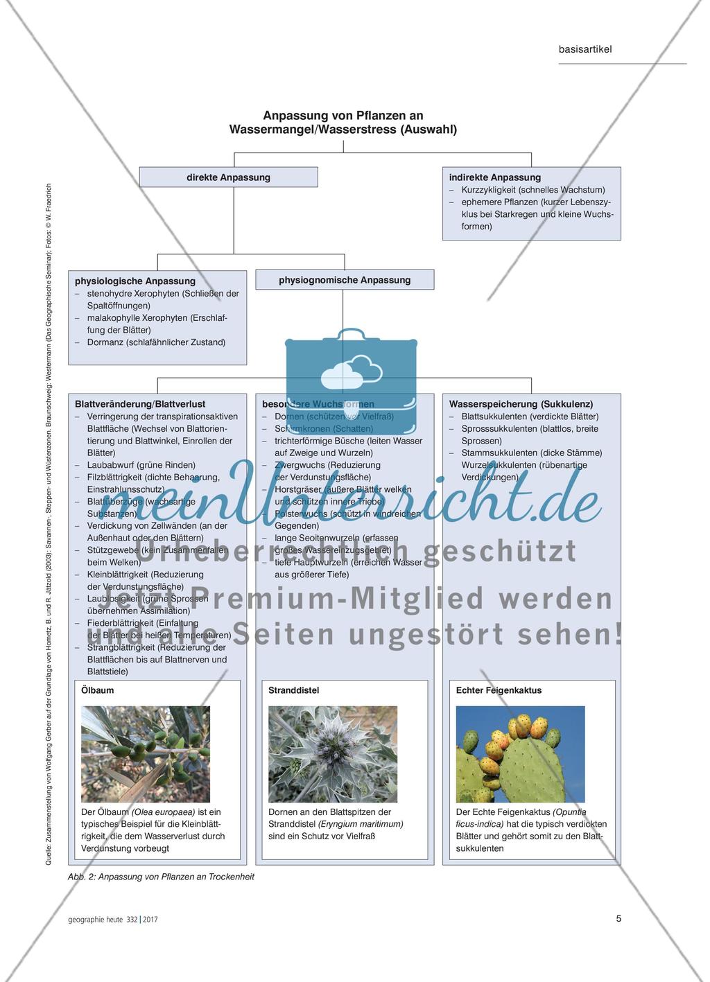 Trockengebiete der Erde - Geographisch komplexe Systeme am Rande der Ökumene Preview 4