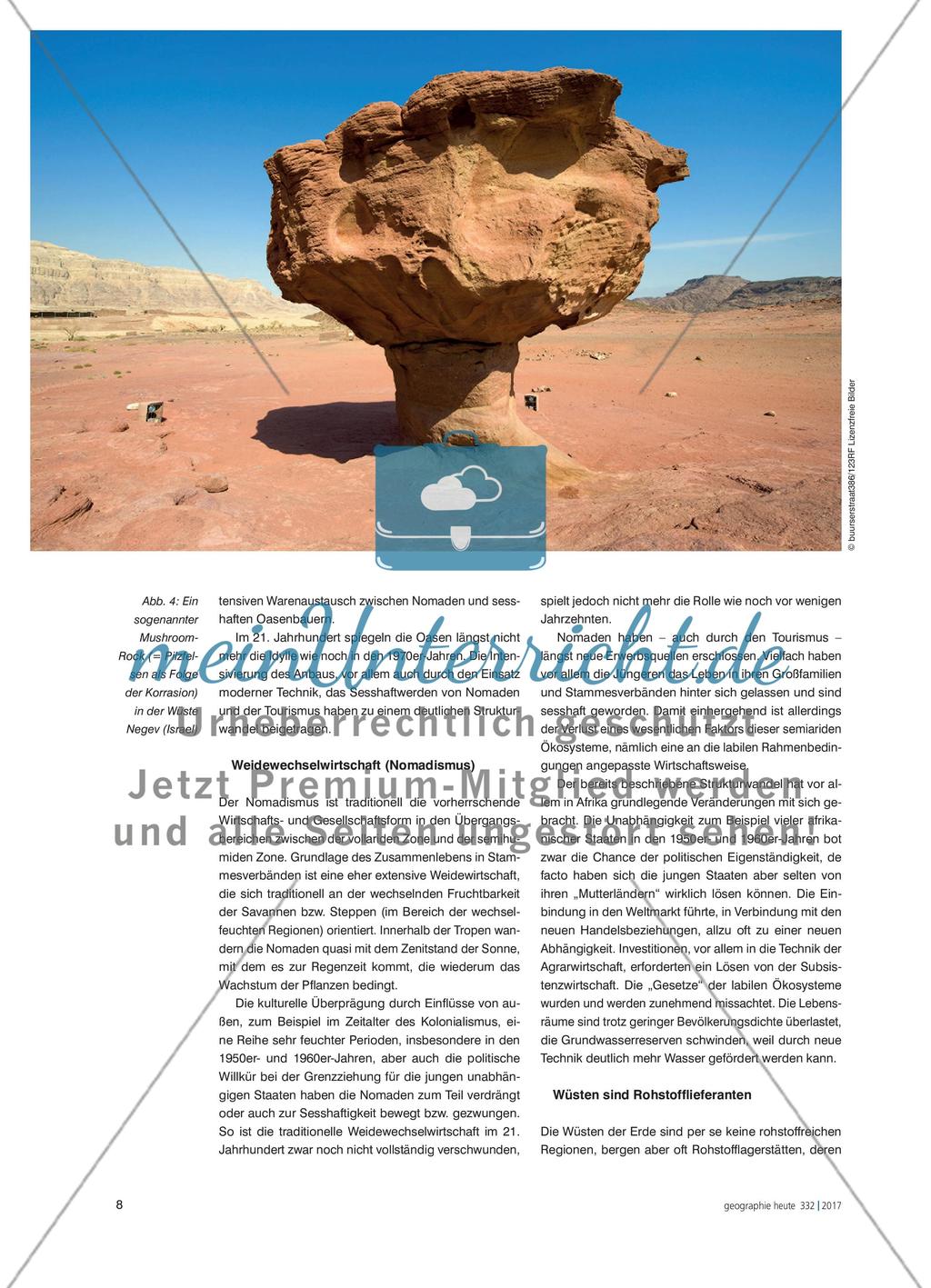 Trockengebiete der Erde - Geographisch komplexe Systeme am Rande der Ökumene Preview 7