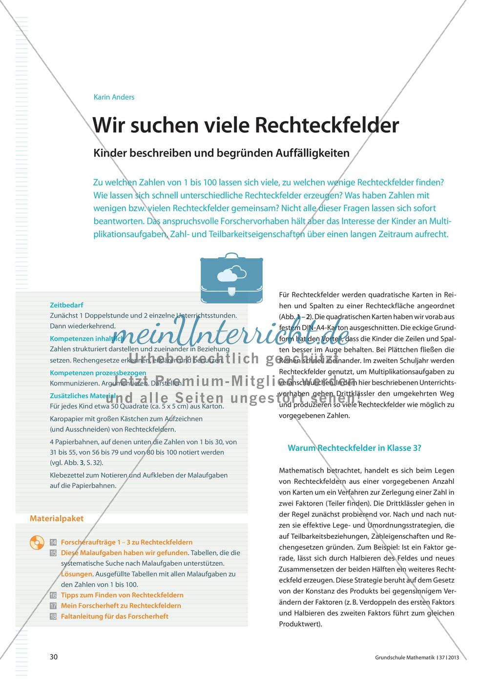 Wir suchen viele Rechteckfelder - Kinder beschreiben und begründen Auffälligkeiten Preview 1
